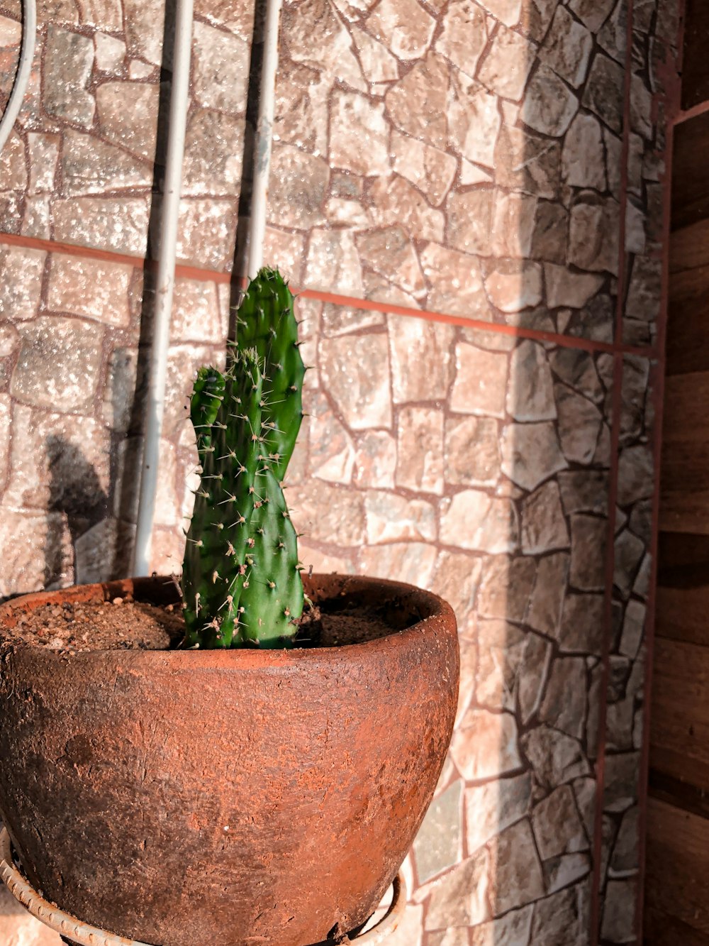 a green cactus in a brown pot on a brick wall