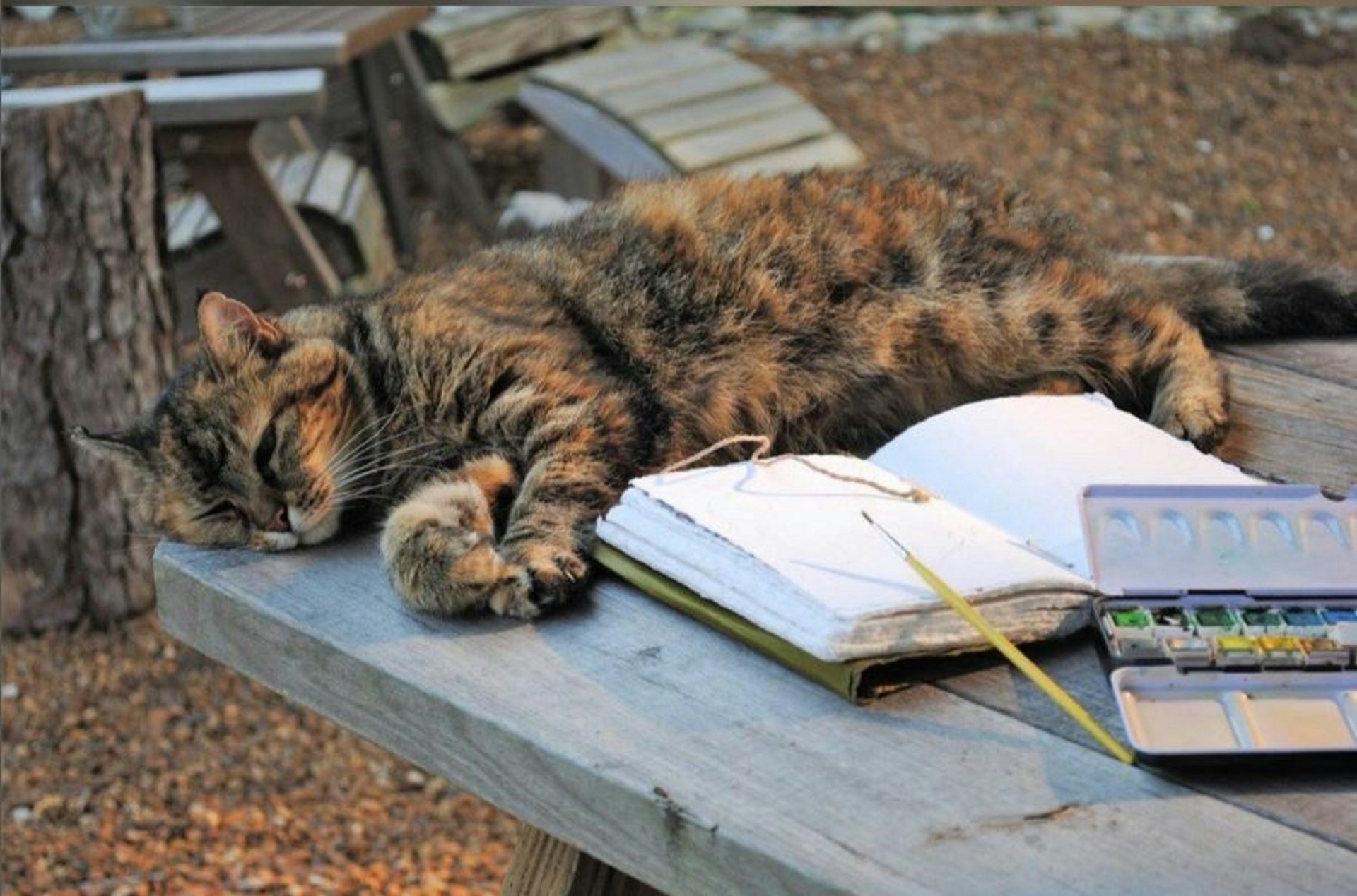 woman wearing yellow long-sleeved dress under white clouds and blue sky during daytime