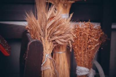 Bundles of wheat and dried plants are neatly tied together, set against a wooden or dark background. The scene suggests a rustic or agricultural setting, exuding a sense of harvest and countryside charm.