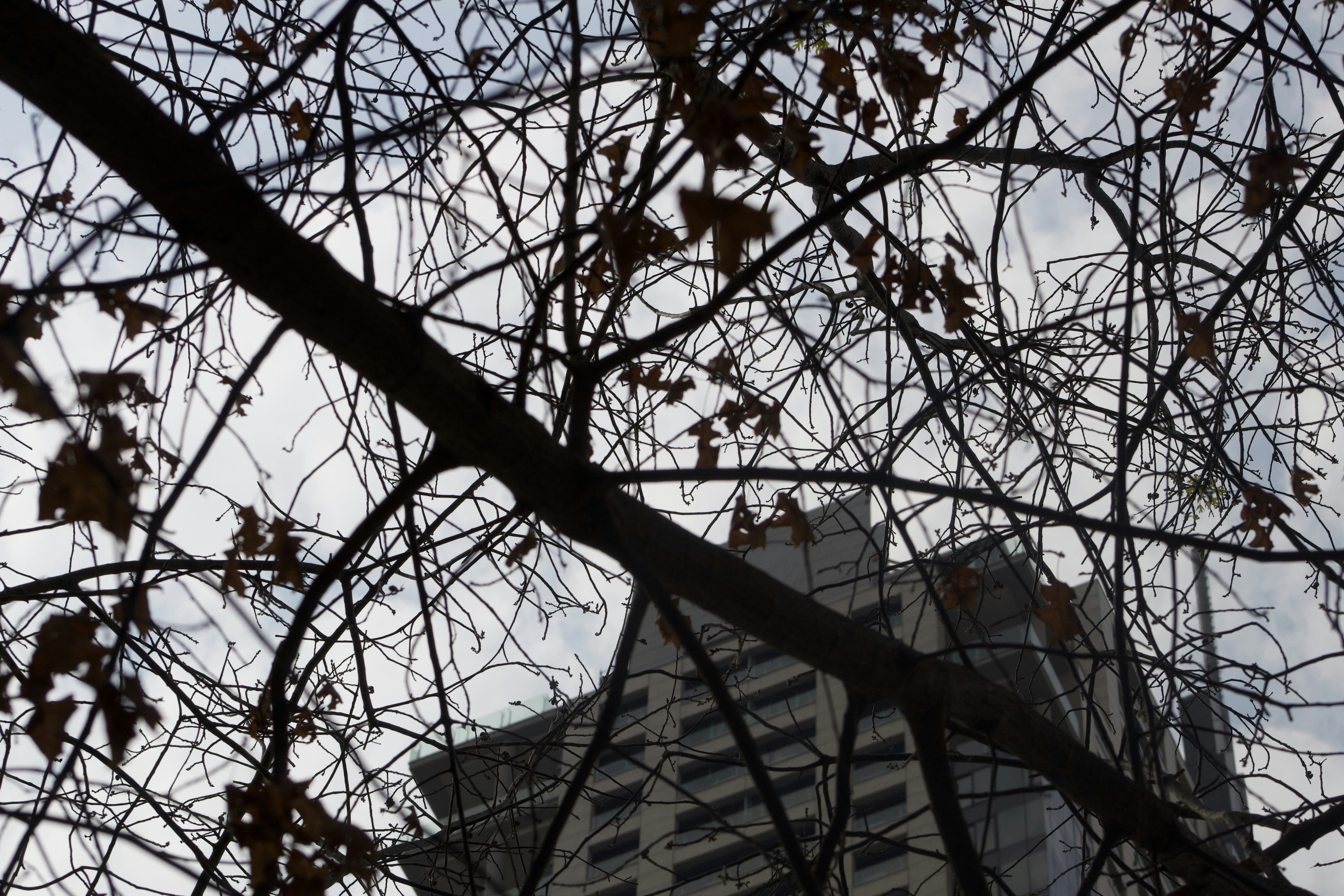 Photo by filmmakerandrea6