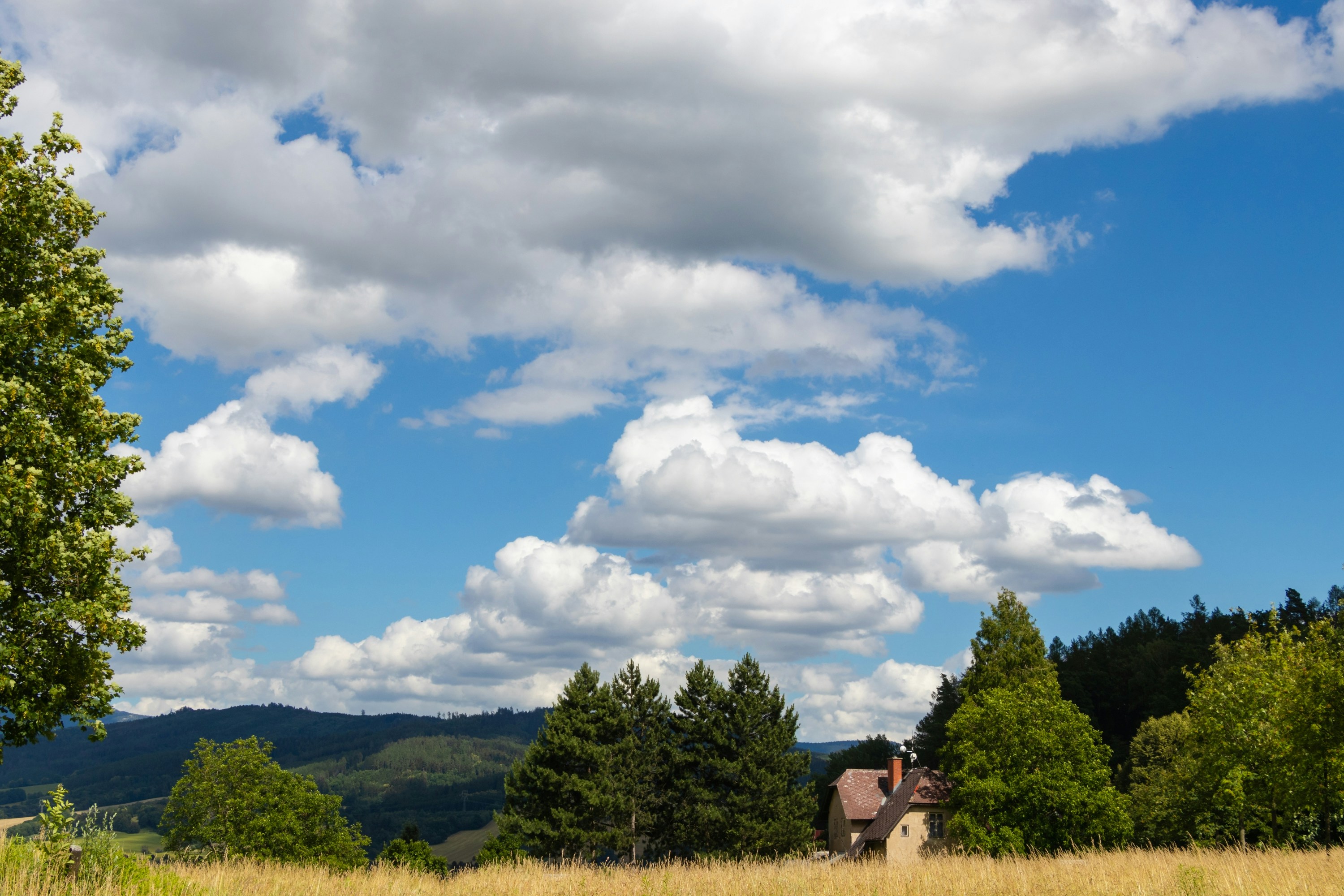 a house in the middle of a field with trees in the background