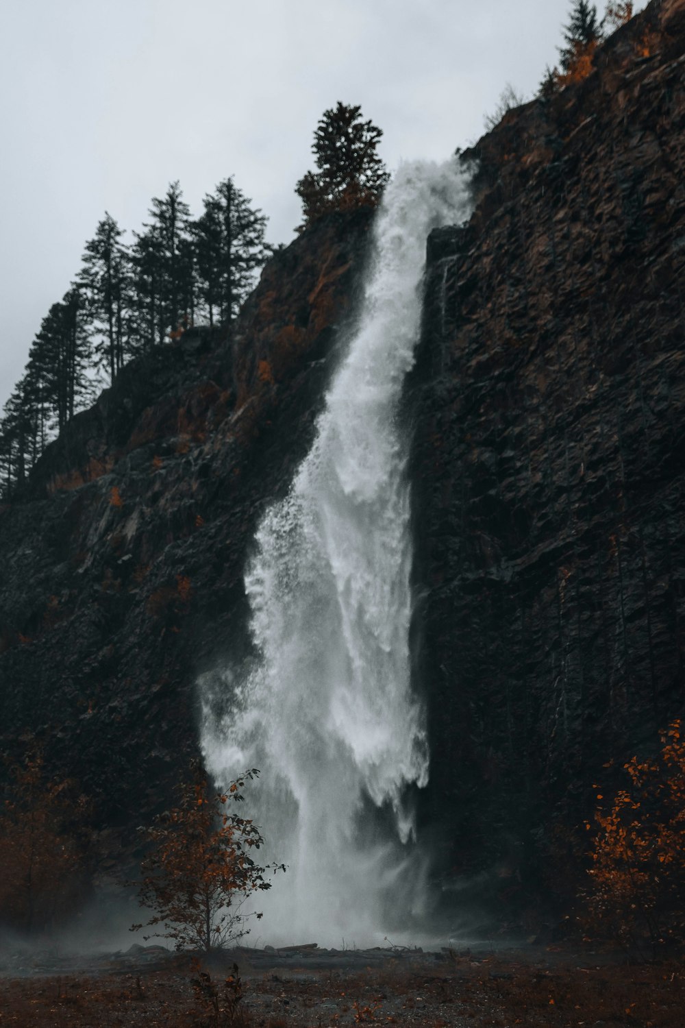 Una cascada muy alta en medio de un bosque