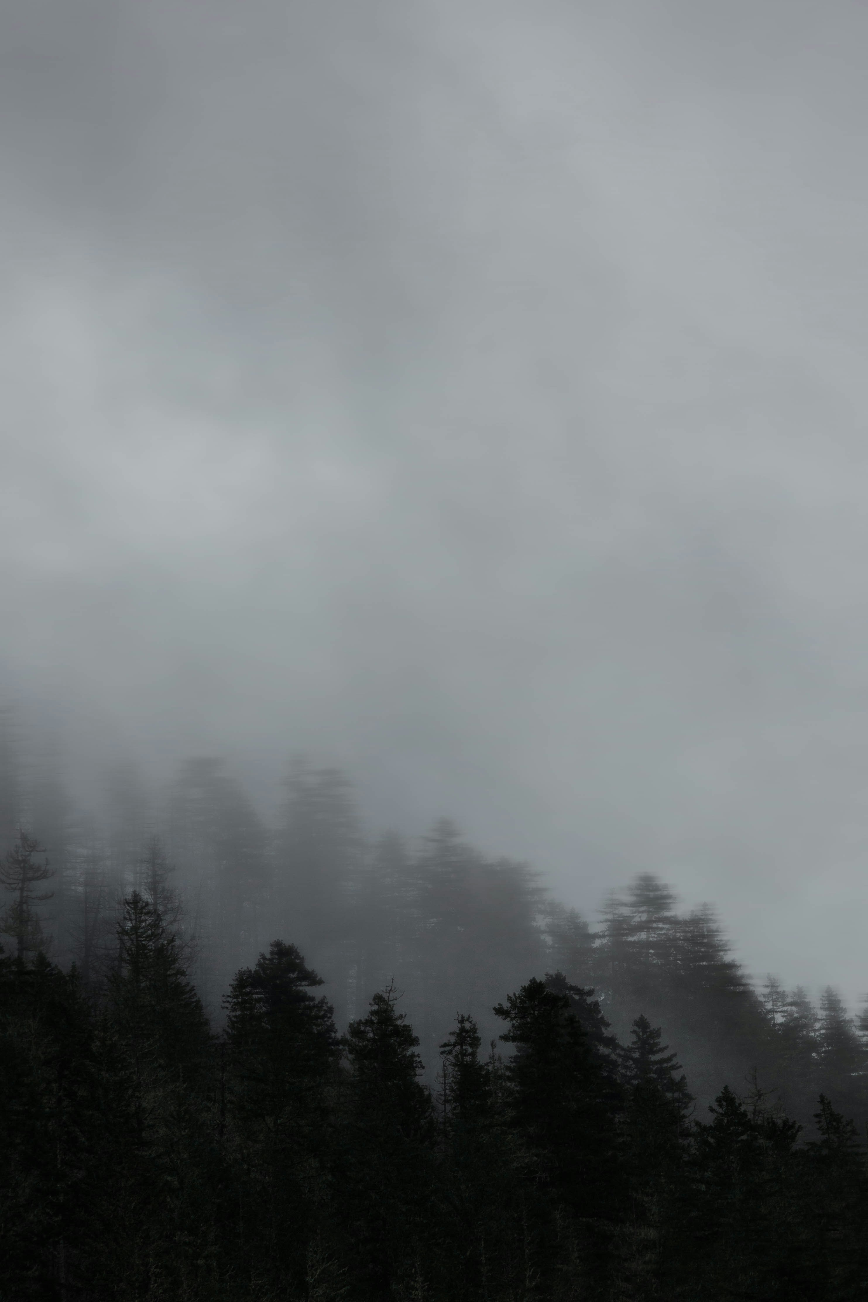 Photo by visualsofeddie