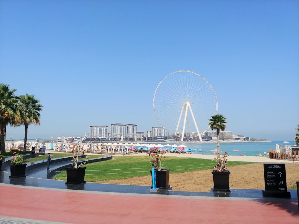 a ferris wheel in the middle of a beach