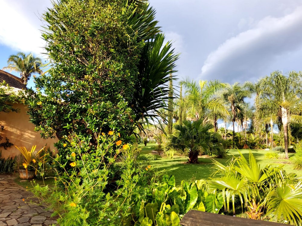 a lush green yard with a wooden bench