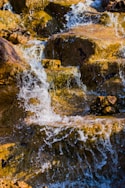 a bird sitting on a rock in the water