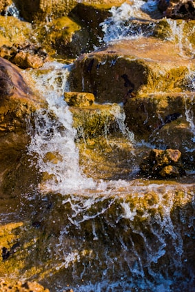 a bird sitting on a rock in the water