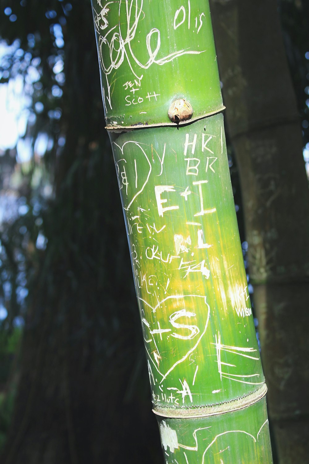 a close up of a green pole with graffiti on it