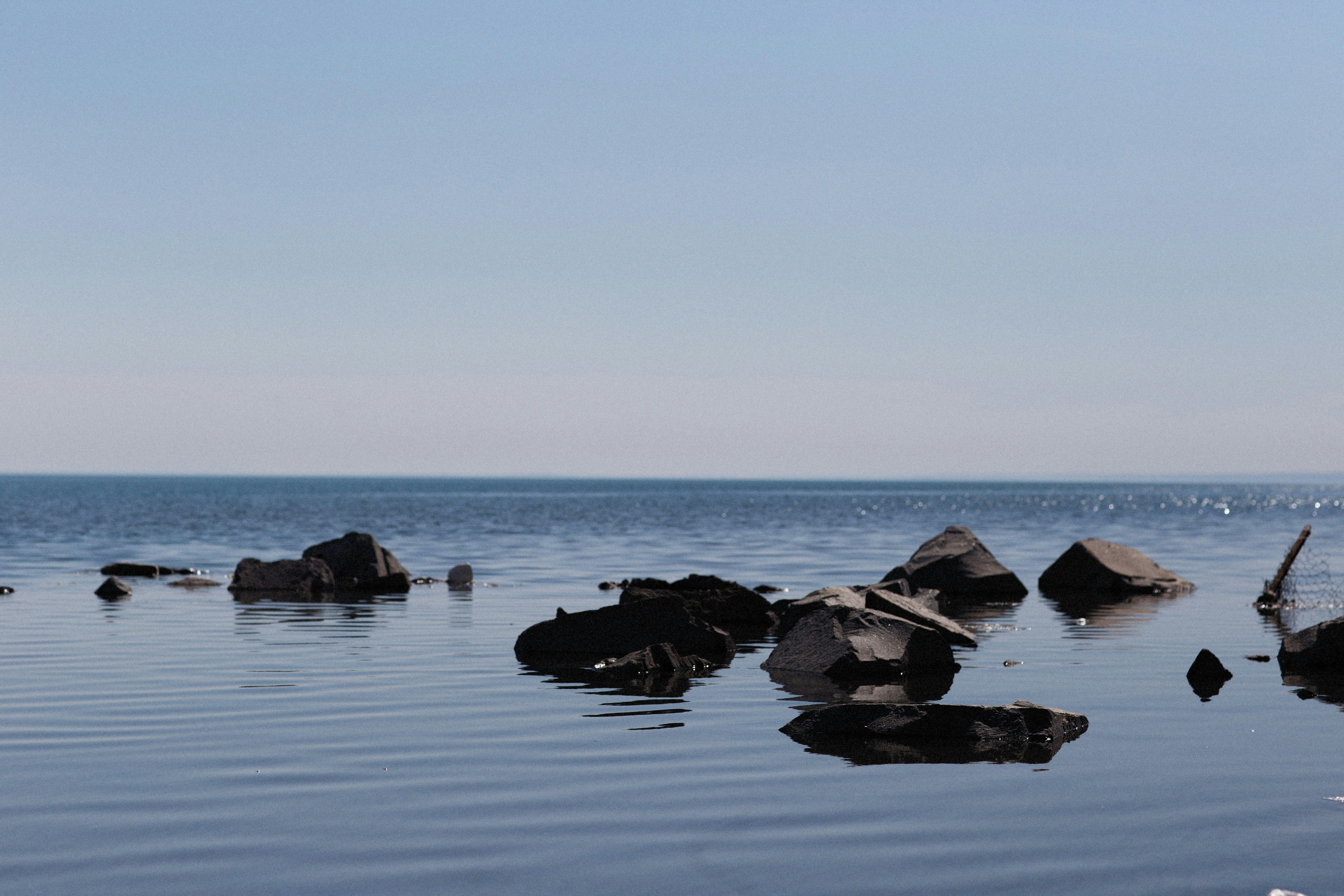 Photo by alexeydemidov