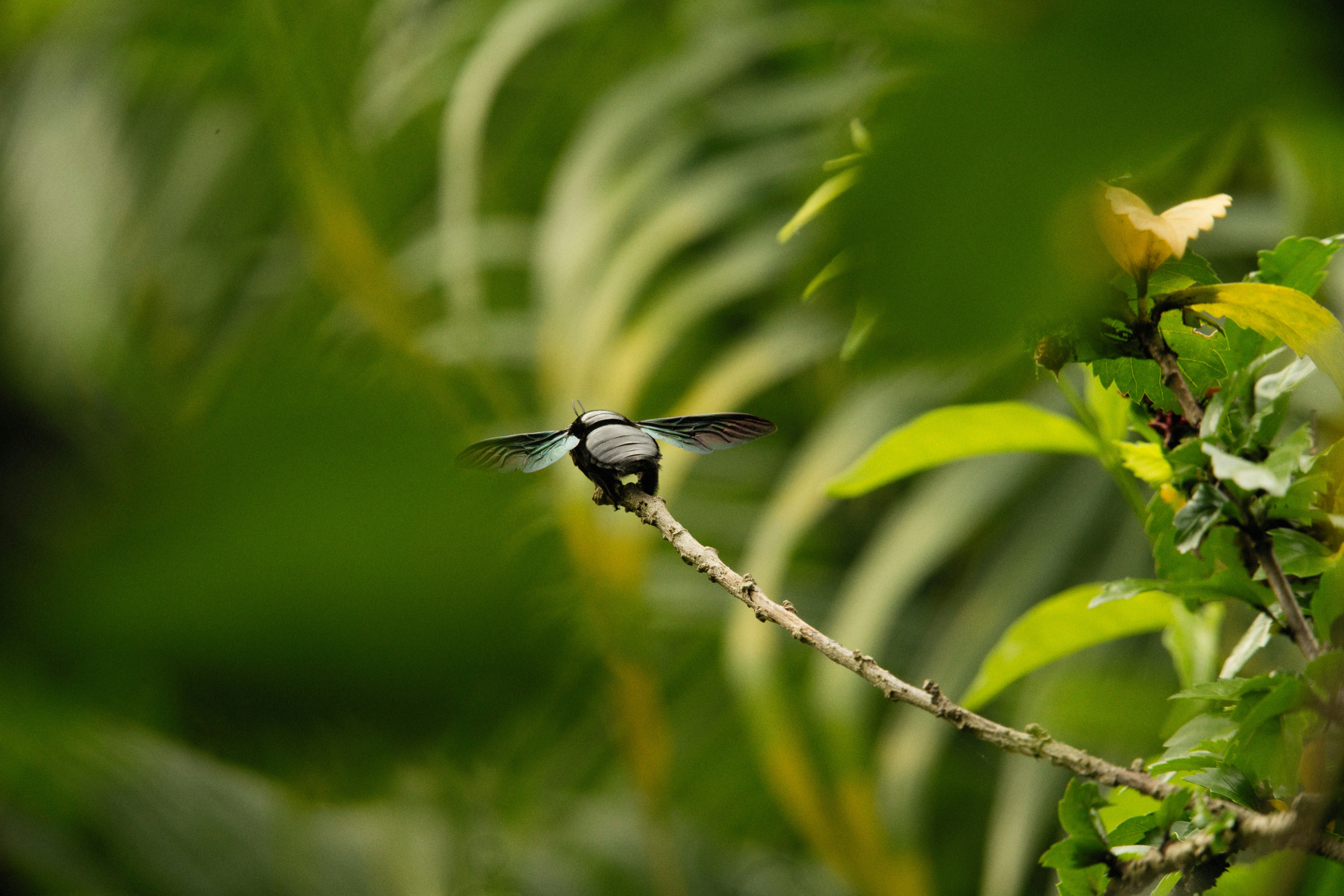 Photo by alexeydemidov