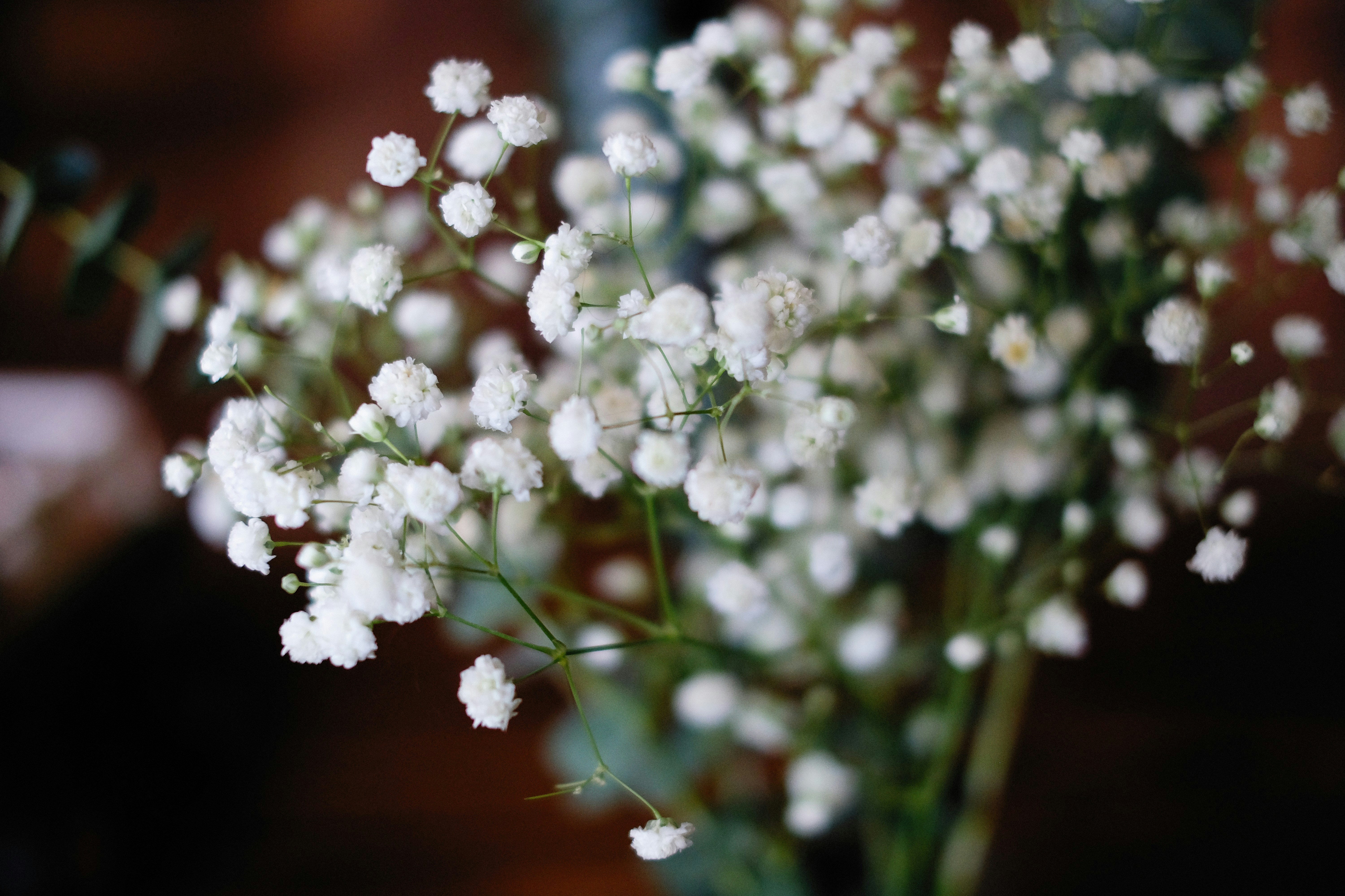 Photo by alexeydemidov