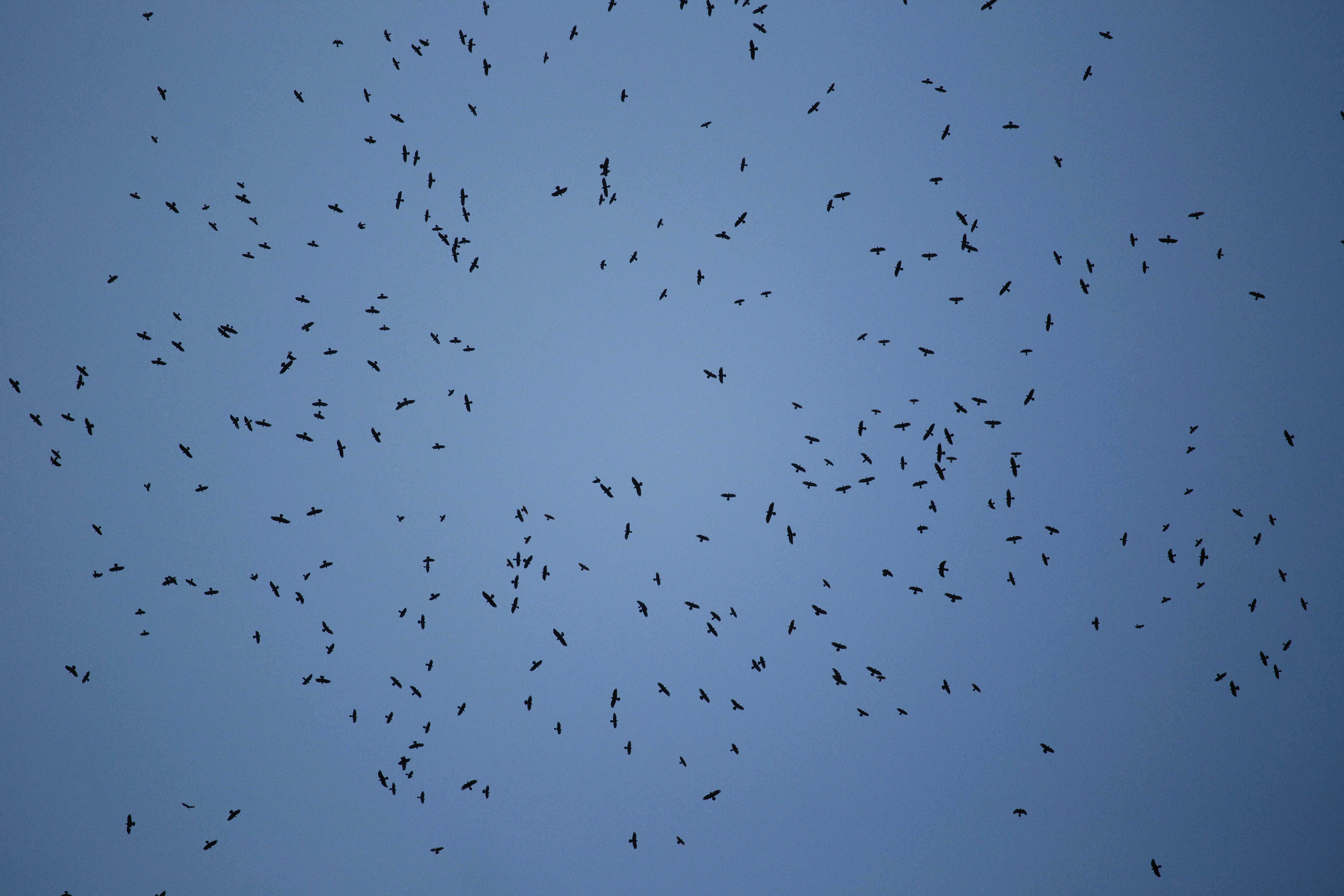 Photo by alexeydemidov