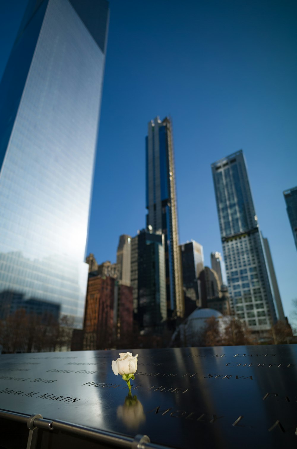 a white rose is placed on a memorial in front of skyscrapers
