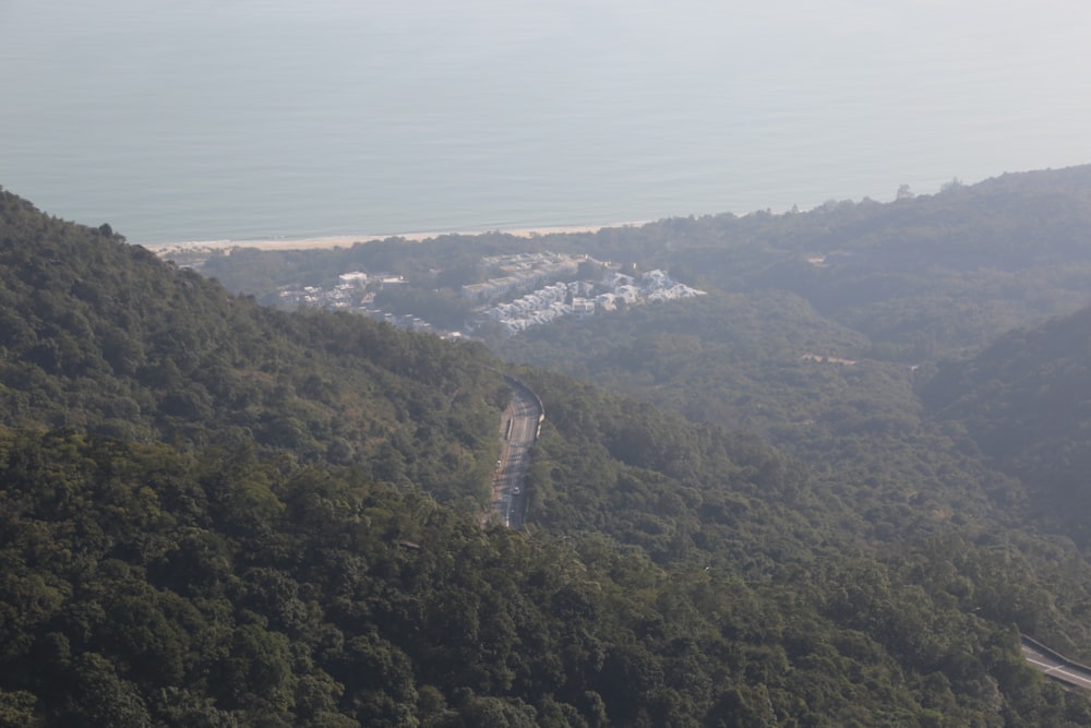 a scenic view of a road in the middle of a forest