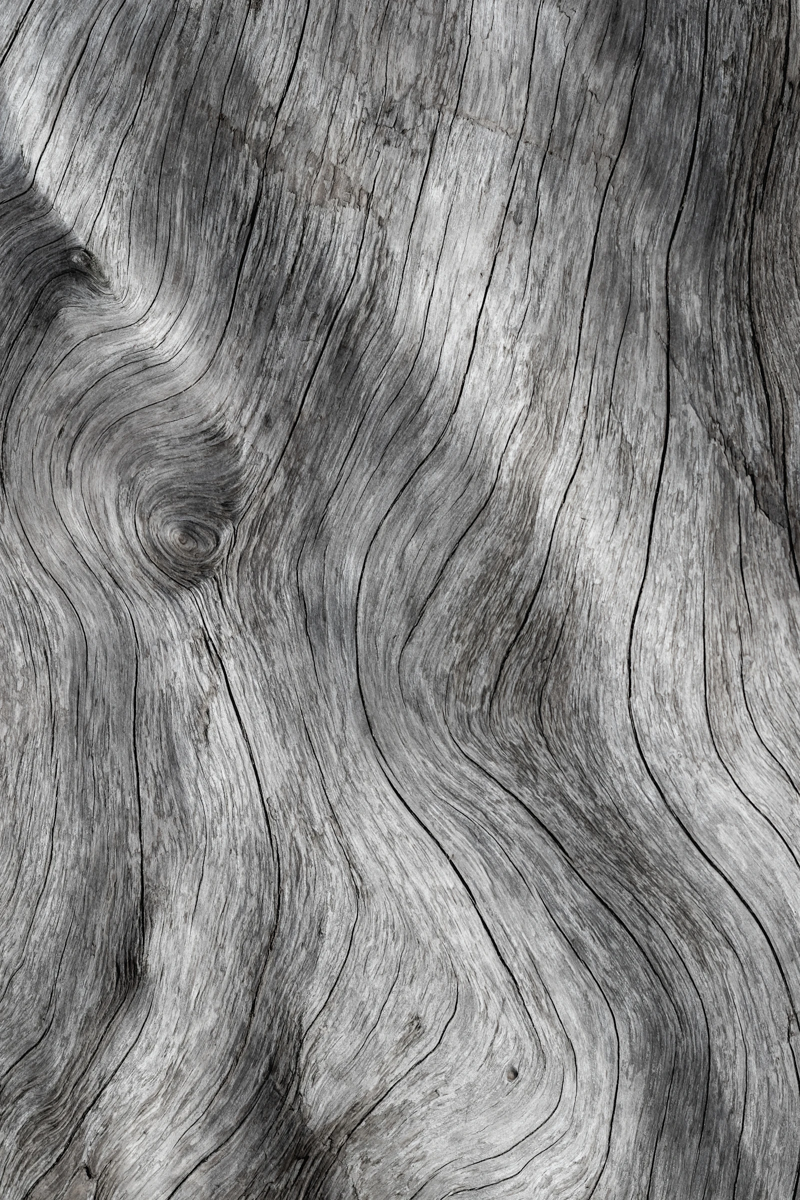 Detalle macro de la veta de madera maciza