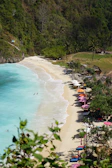 Colorful Caribbean beach with turquoise waters and palm trees