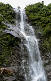 a man standing in front of a waterfall
