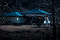 A traditional Japanese-style house with a dark exterior and blue roof is partially obscured by leafless trees, creating a serene and somewhat mysterious atmosphere. The house features sliding glass doors, and there appears to be a warm glow from an interior light. The surrounding landscape is sparse, with bare trees and dry grass, suggesting a late autumn or early winter setting.
