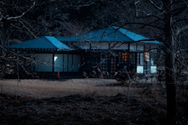 A traditional Japanese-style house with a dark exterior and blue roof is partially obscured by leafless trees, creating a serene and somewhat mysterious atmosphere. The house features sliding glass doors, and there appears to be a warm glow from an interior light. The surrounding landscape is sparse, with bare trees and dry grass, suggesting a late autumn or early winter setting.