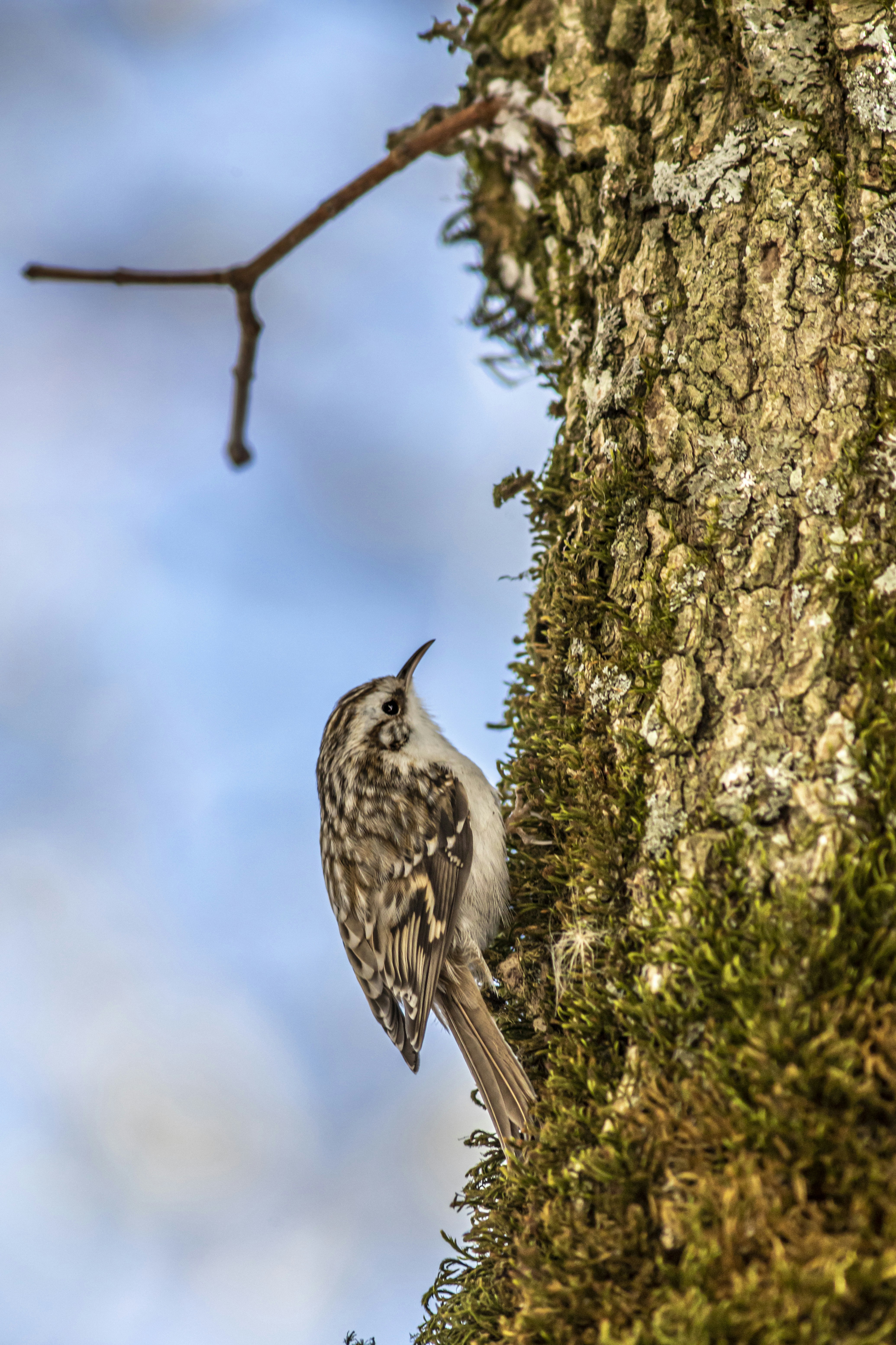 Photo by erik_karits