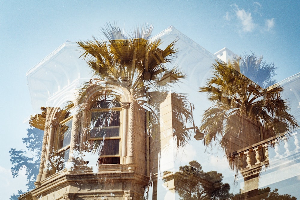 a building with a palm tree in front of it