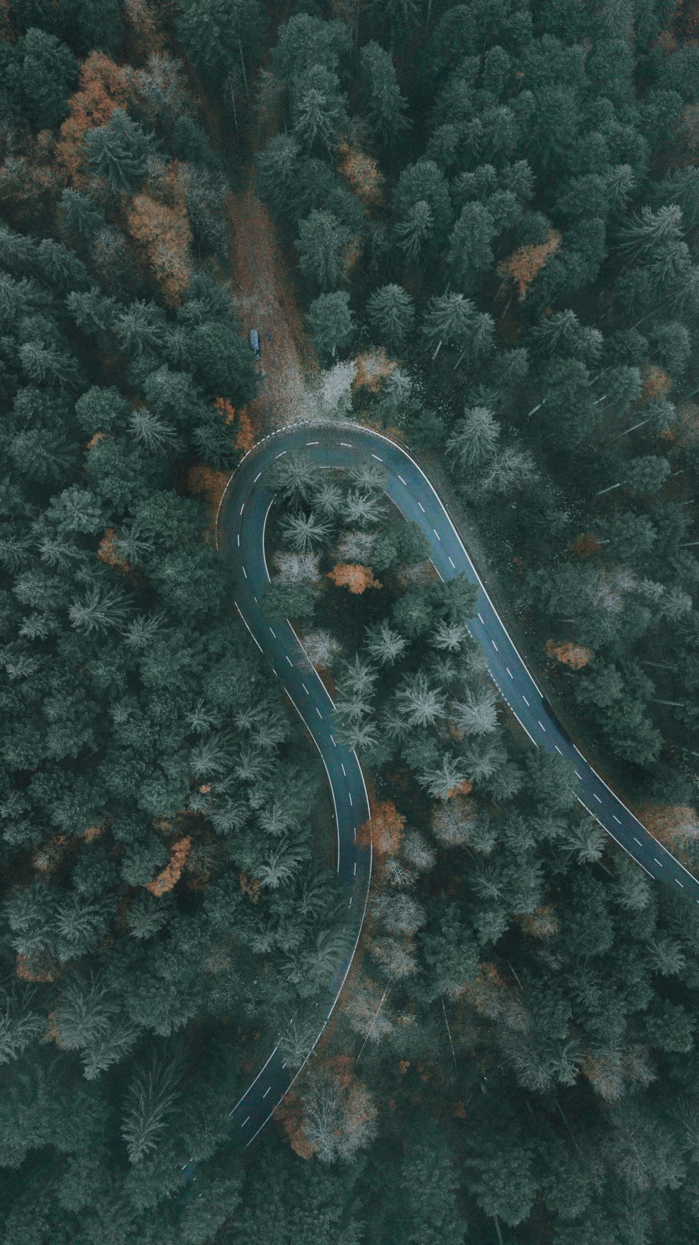 a winding road in the middle of a forest