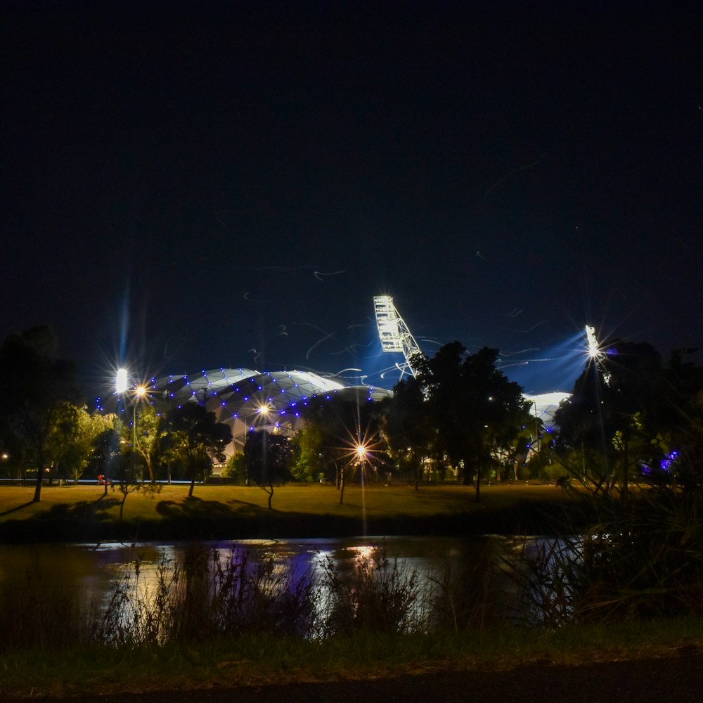 a night view of a park with a ferris wheel in the background