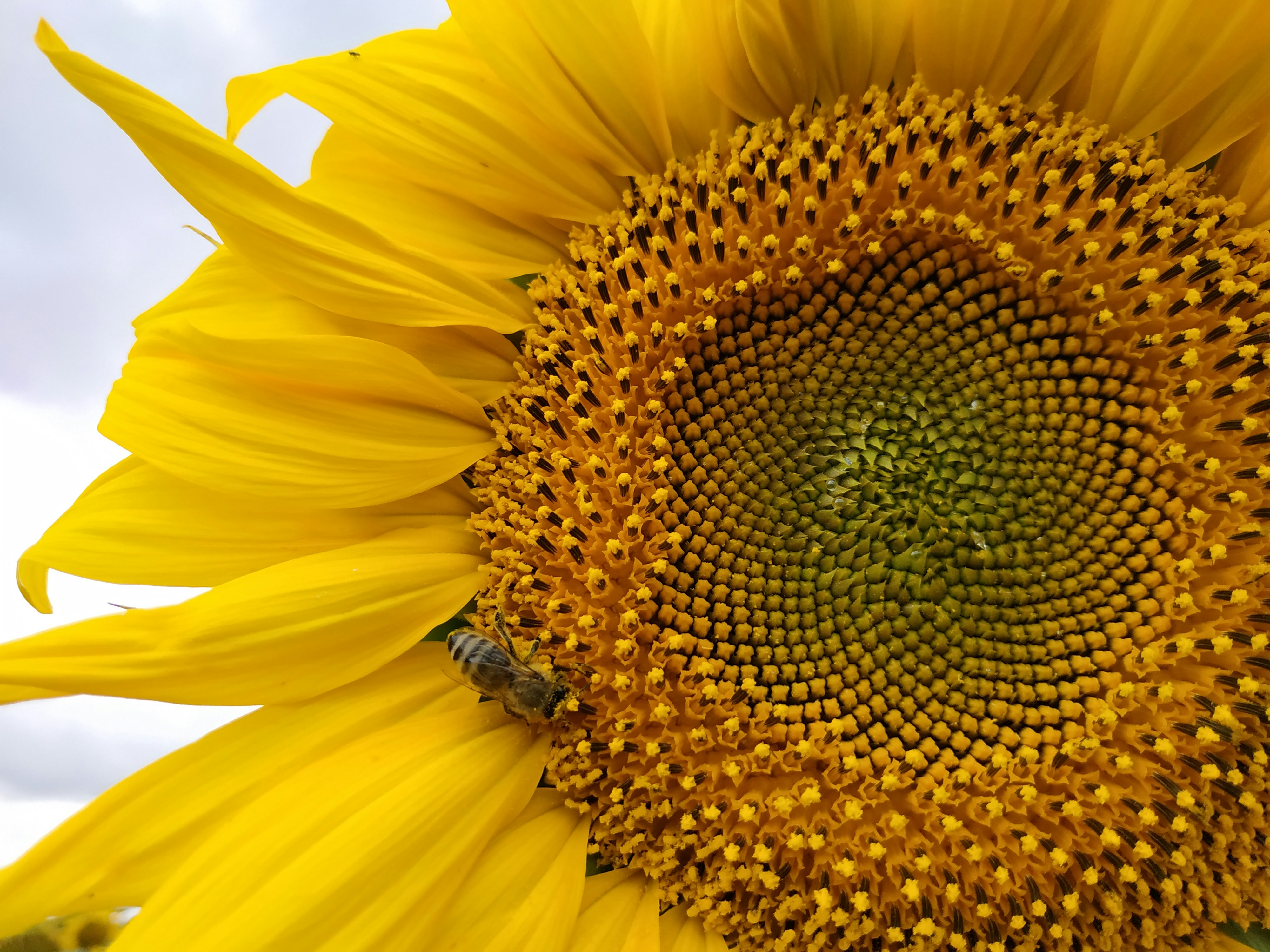 Photo by helen_zahrai