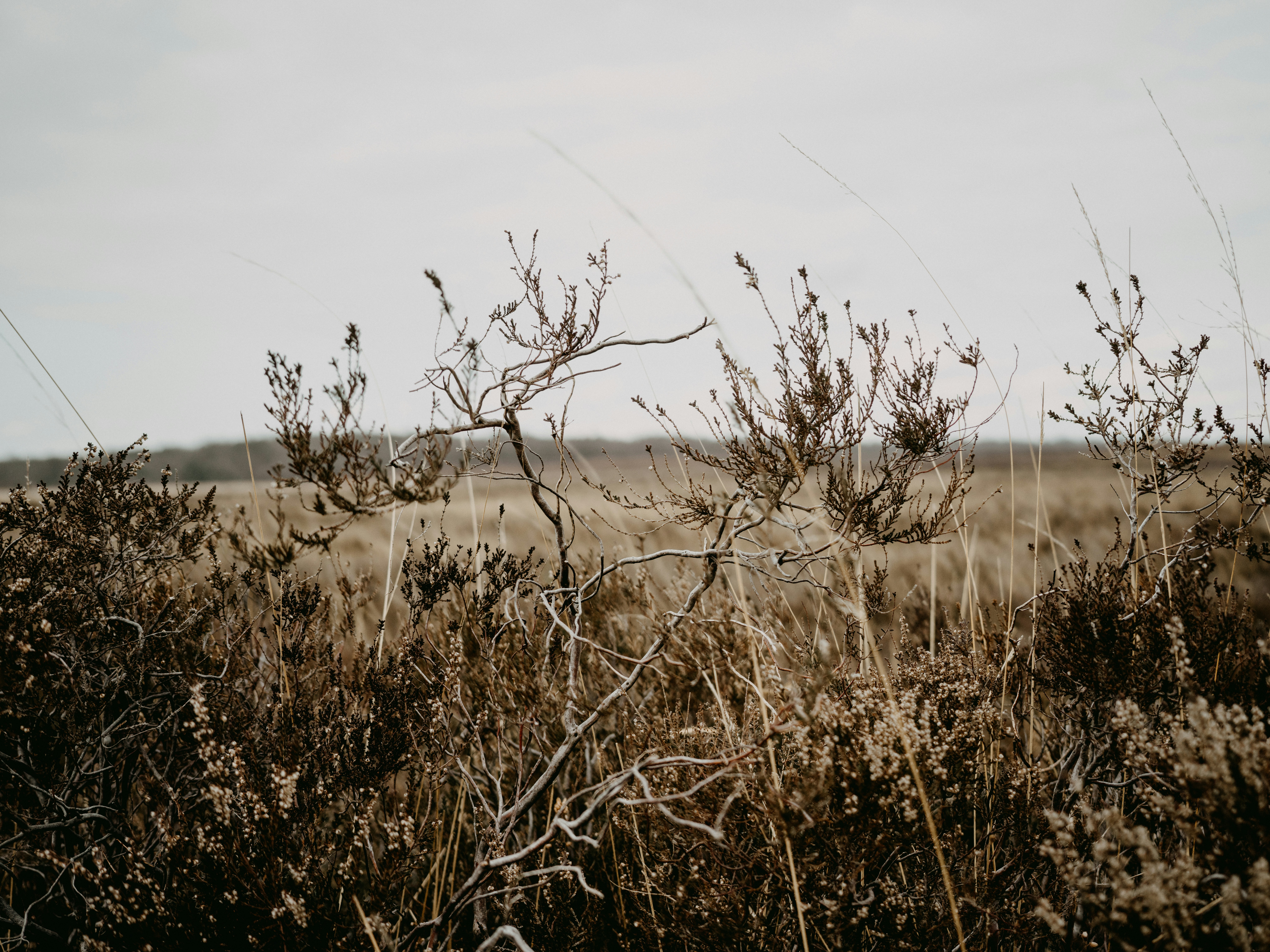 Photo by anniespratt