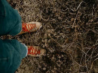 A pair of tan hiking boots with red laces stand on dry, brown grass and twigs. The jeans of the person wearing the boots are visible, giving an earthy and rugged feel.
