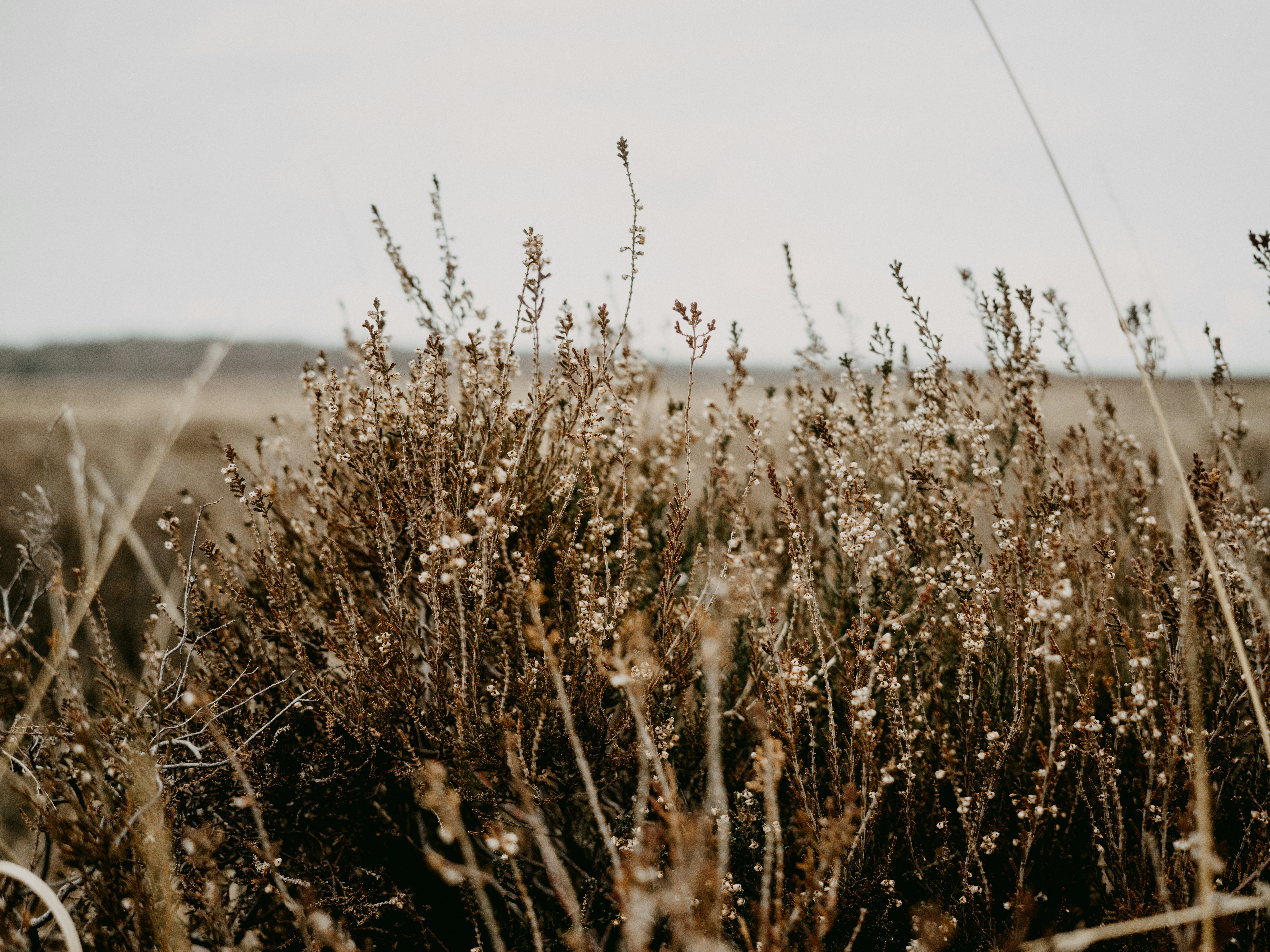 Photo by anniespratt