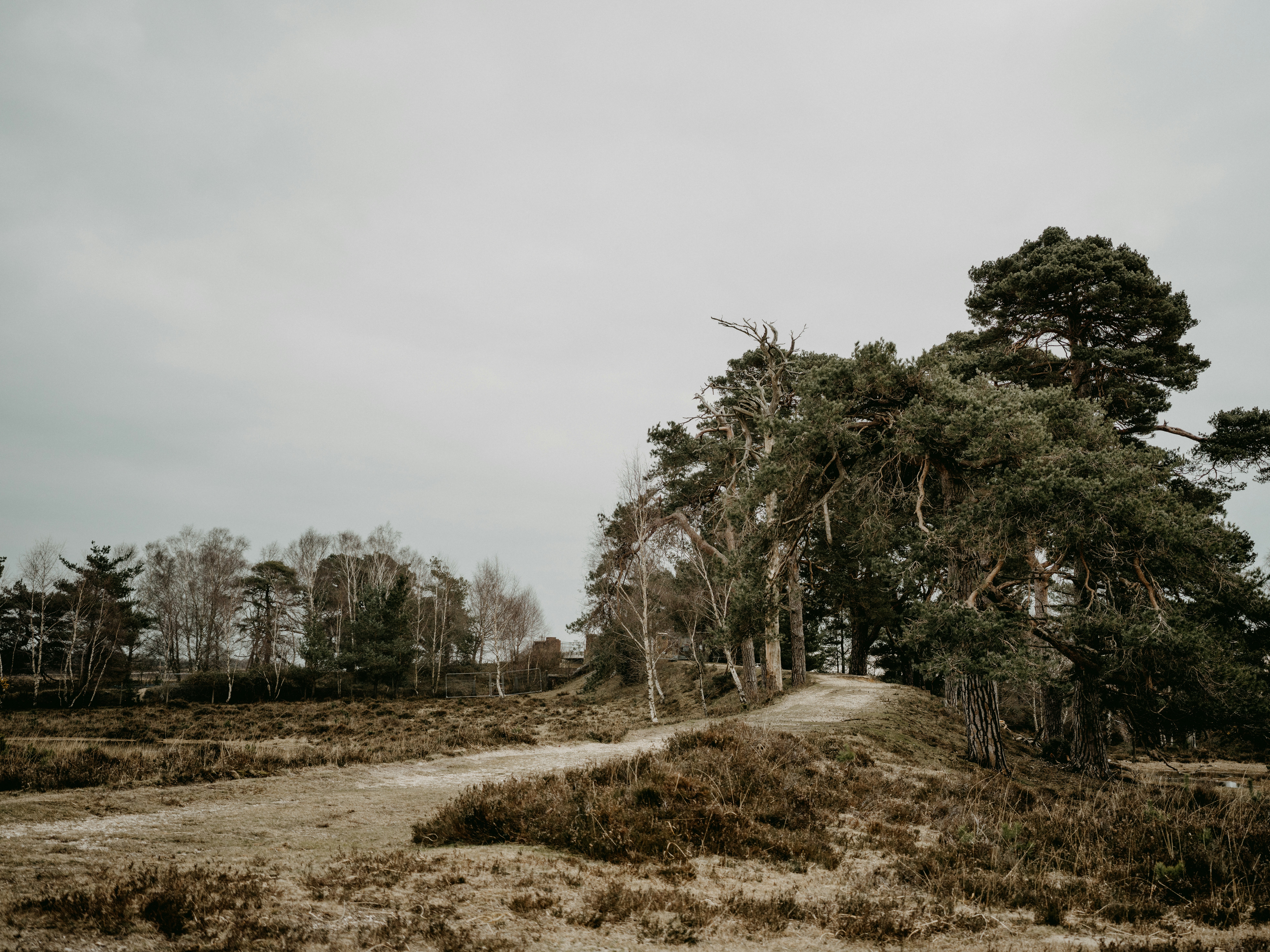 Photo by anniespratt