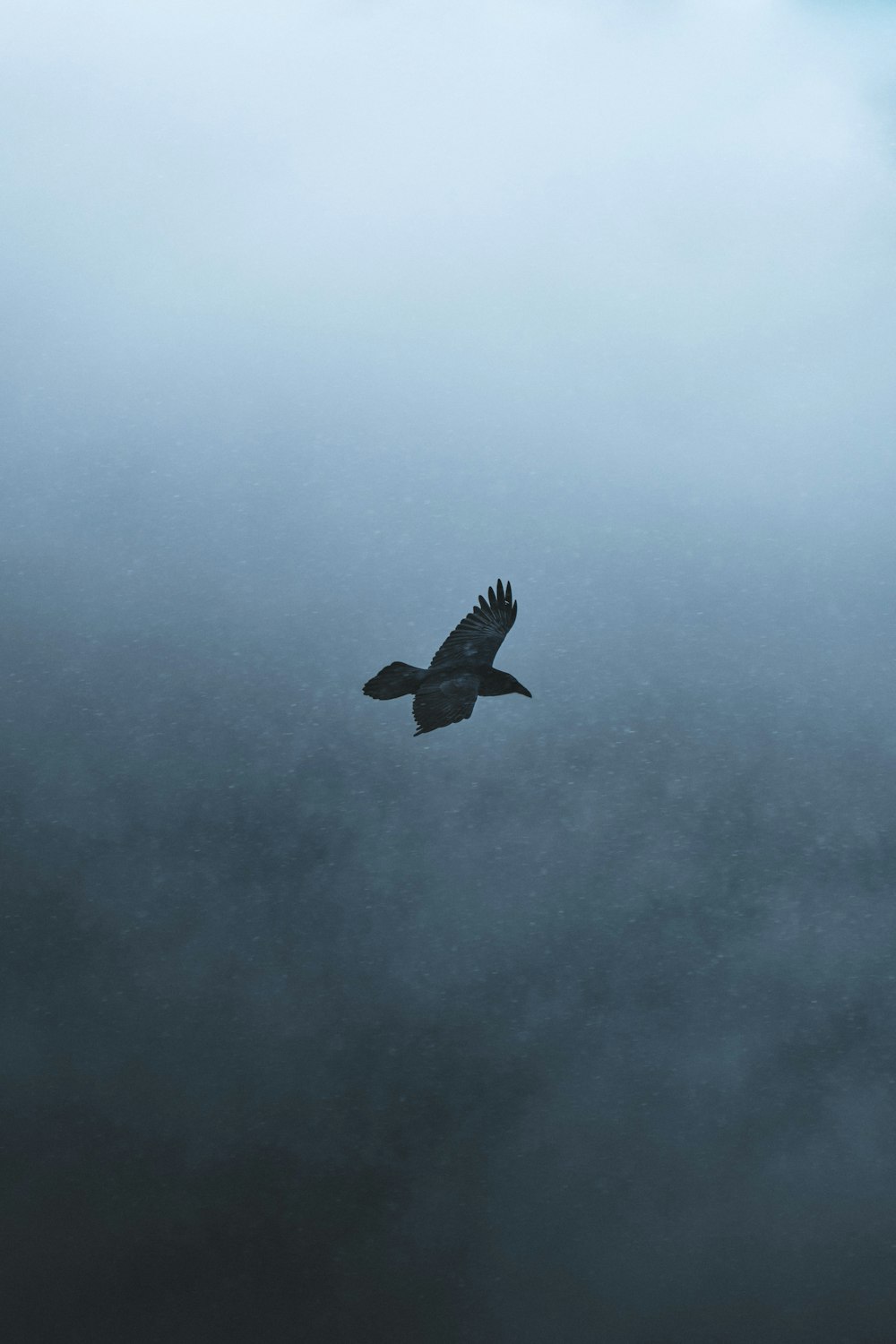 a large bird flying through a cloudy sky