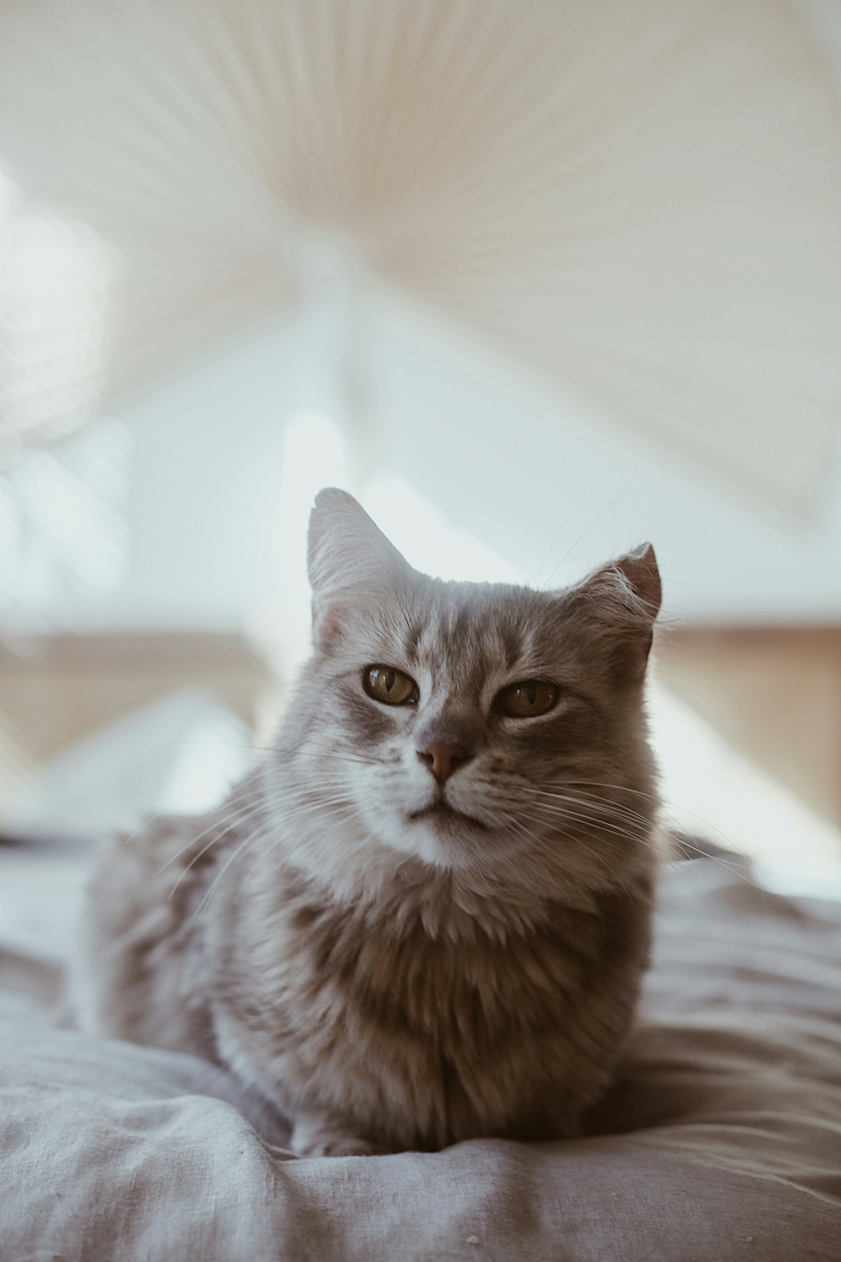 Photo by earthtokarly