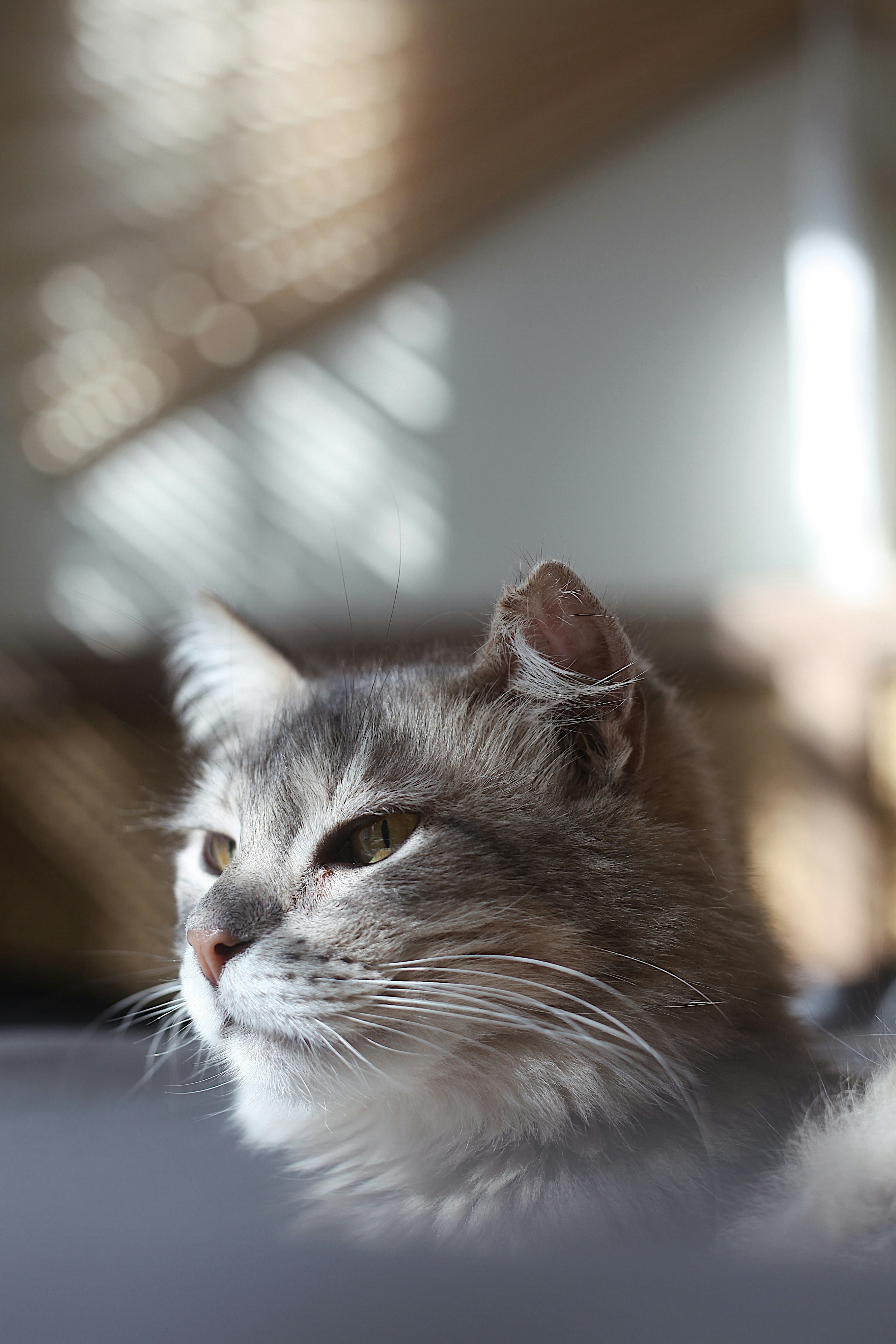 Photo by earthtokarly