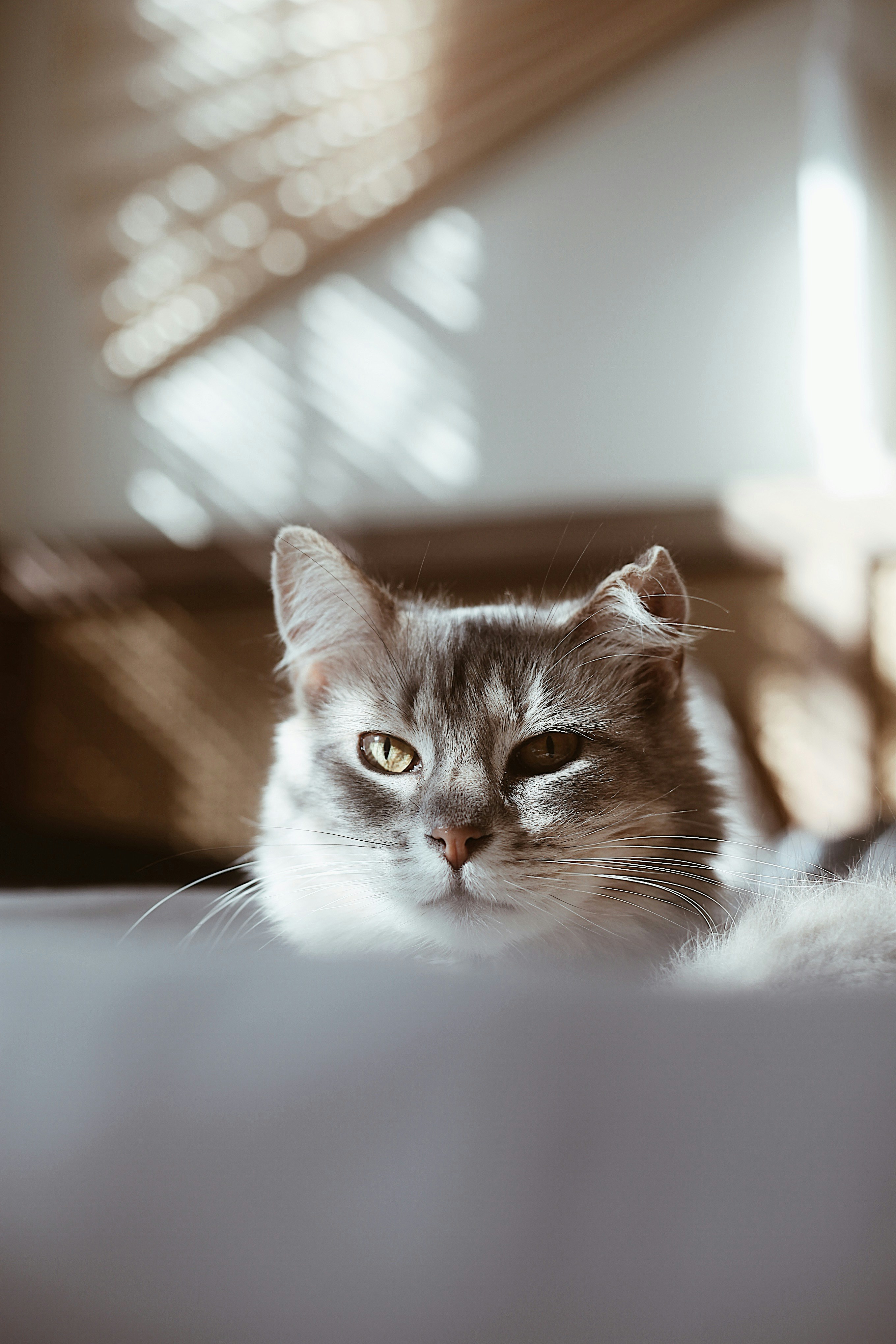 Photo by earthtokarly