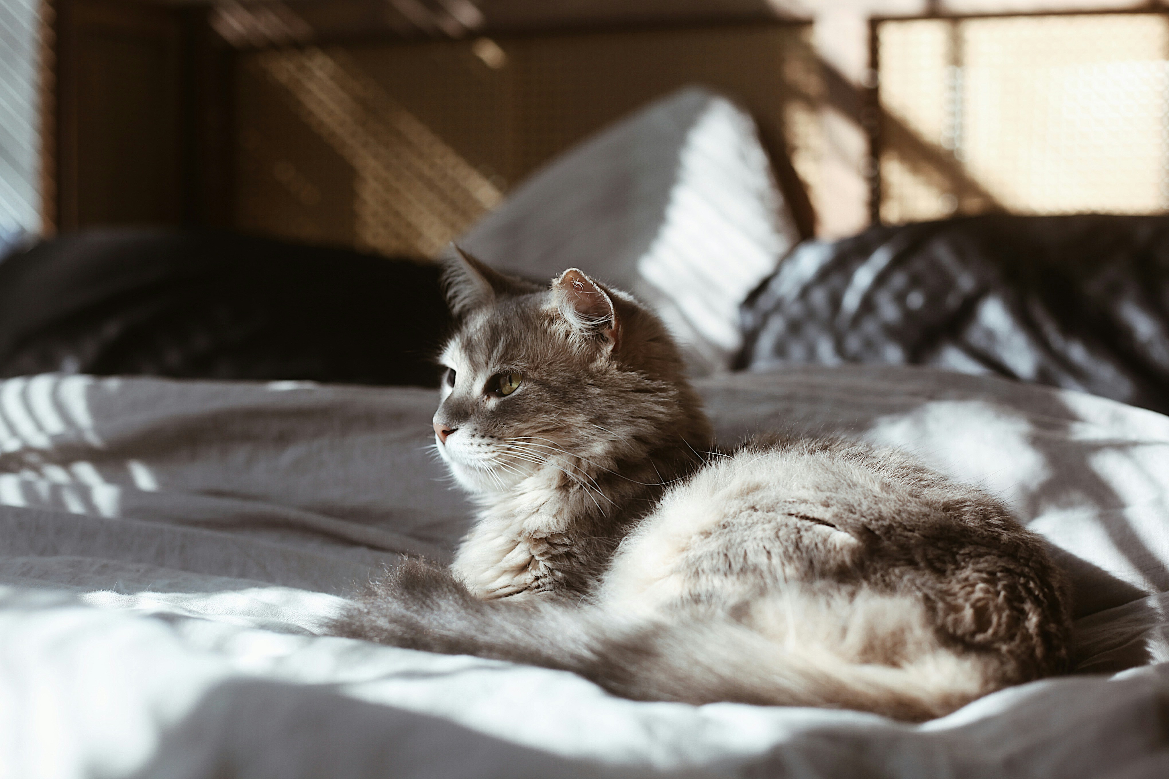 Photo by earthtokarly