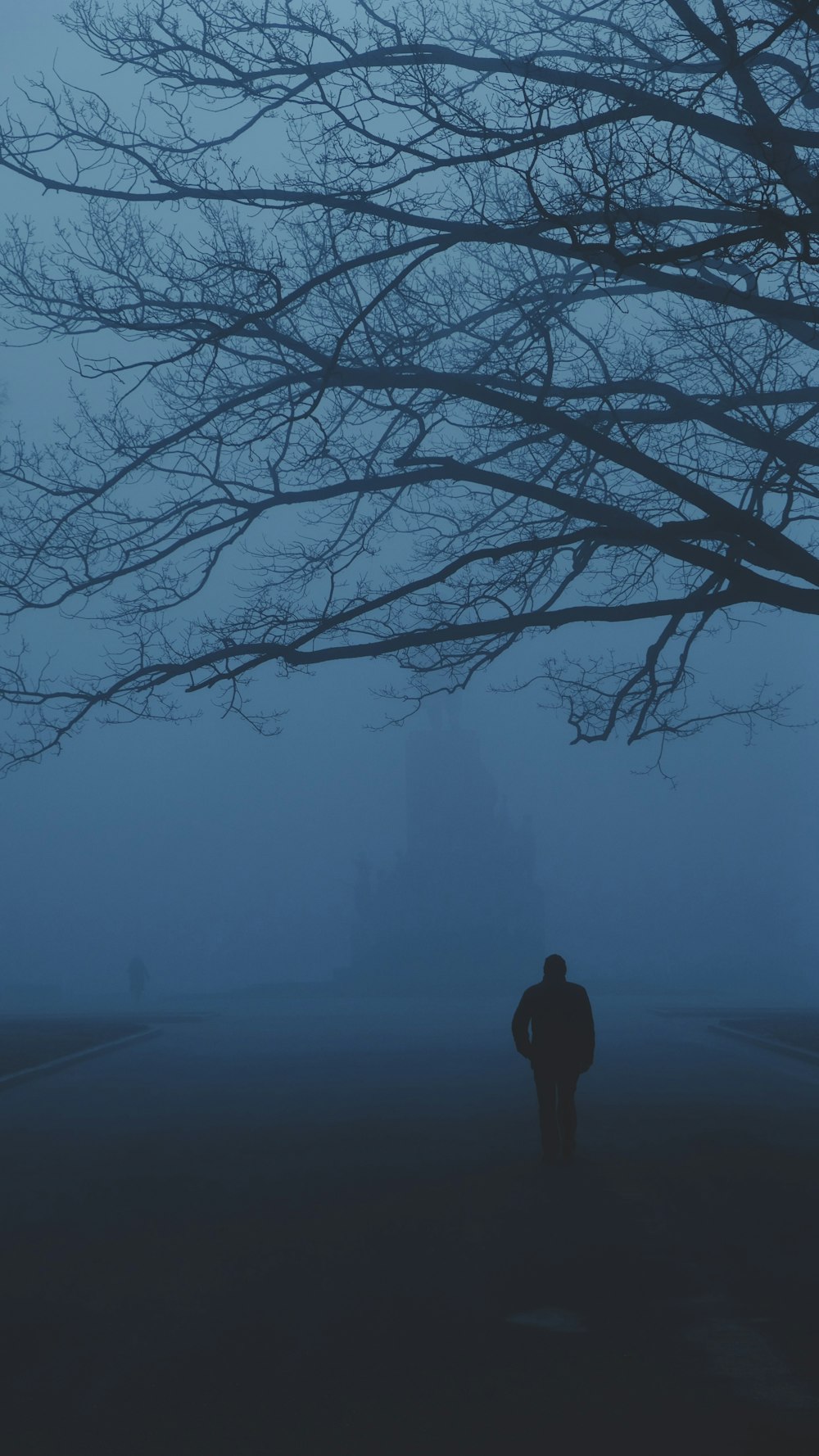 a person standing in the fog near a tree