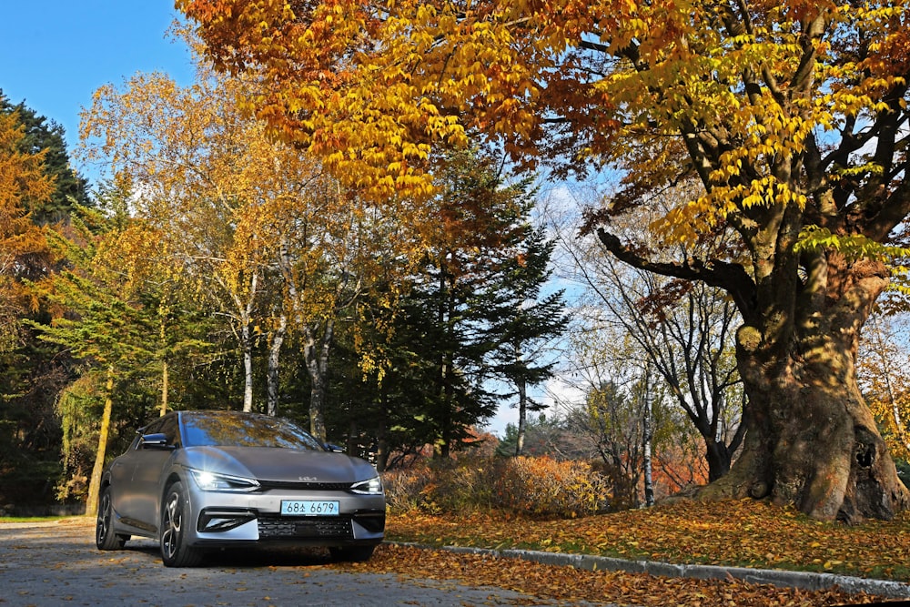 Une voiture argentée garée sur le bord d’une route