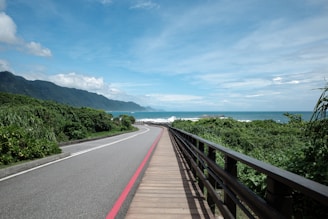 Private Driver Chauffeur 6 people