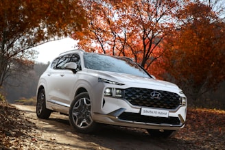A white Hyundai Santa Fe Hybrid SUV is parked on a dirt path surrounded by lush autumn foliage. The vibrant red and orange leaves create a striking contrast with the vehicle's clean lines and modern design. The sun filters through the trees, casting dappled shadows on the ground.