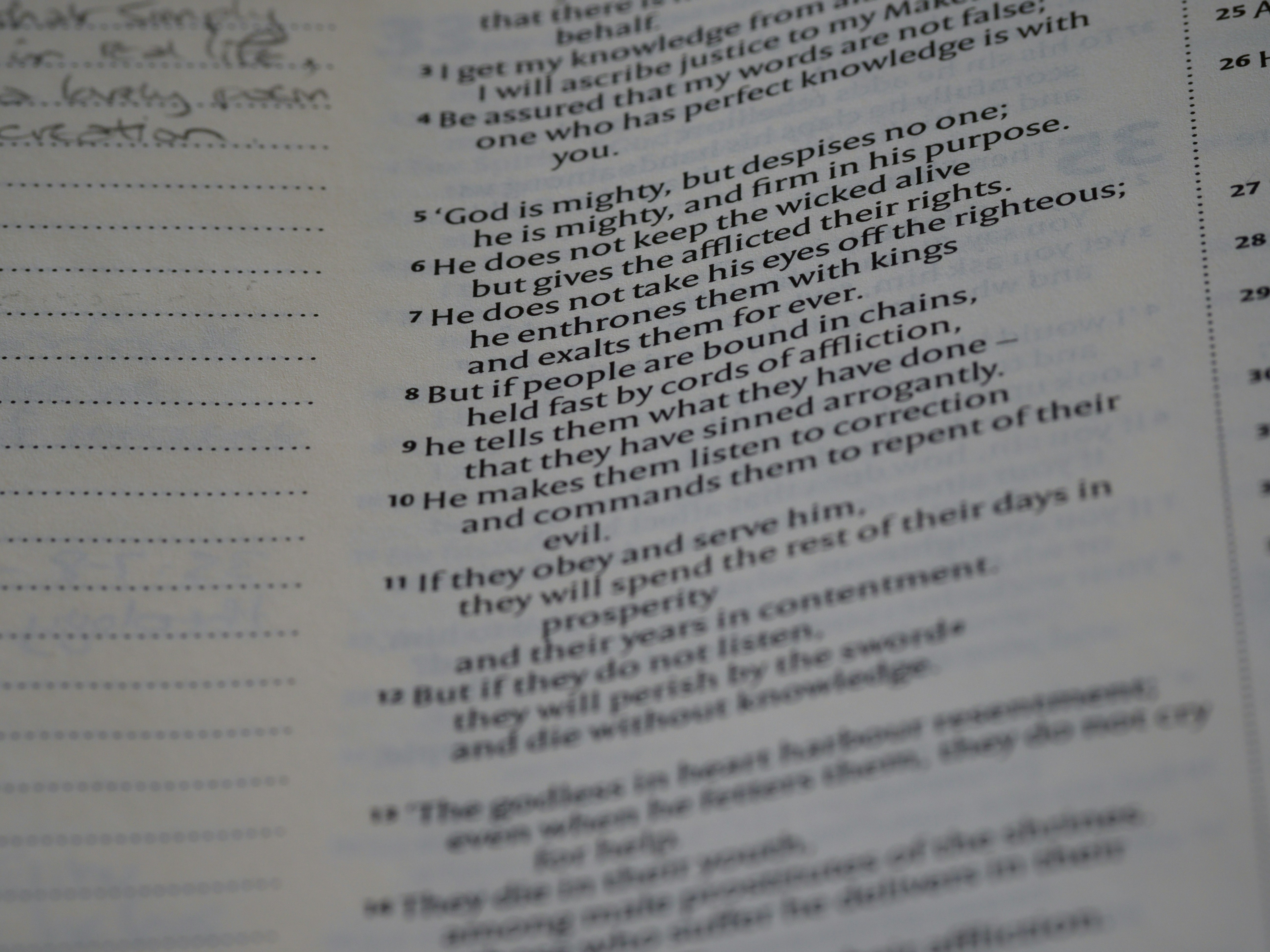 Photo by brett_jordan