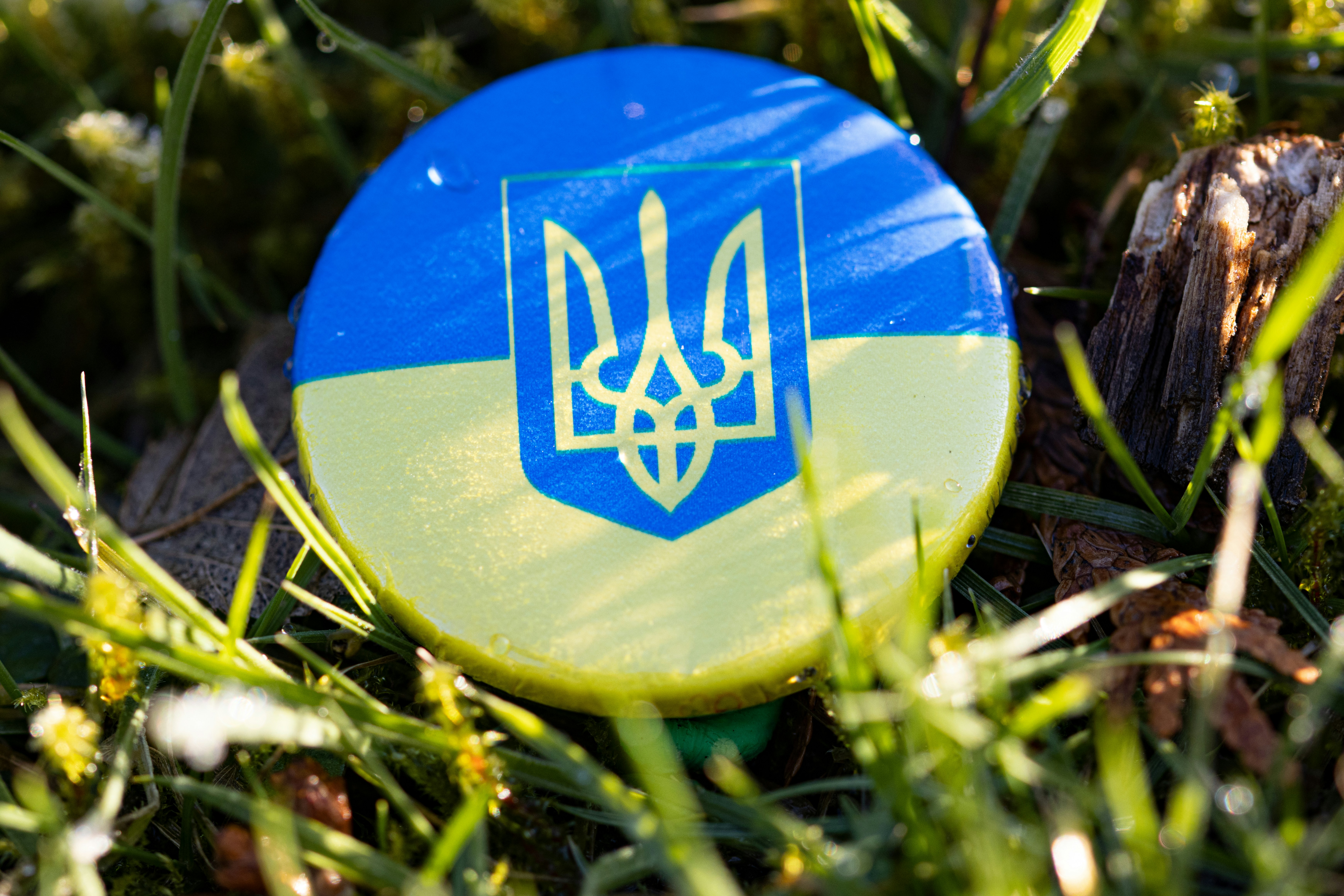 a blue and yellow frisbee sitting in the grass