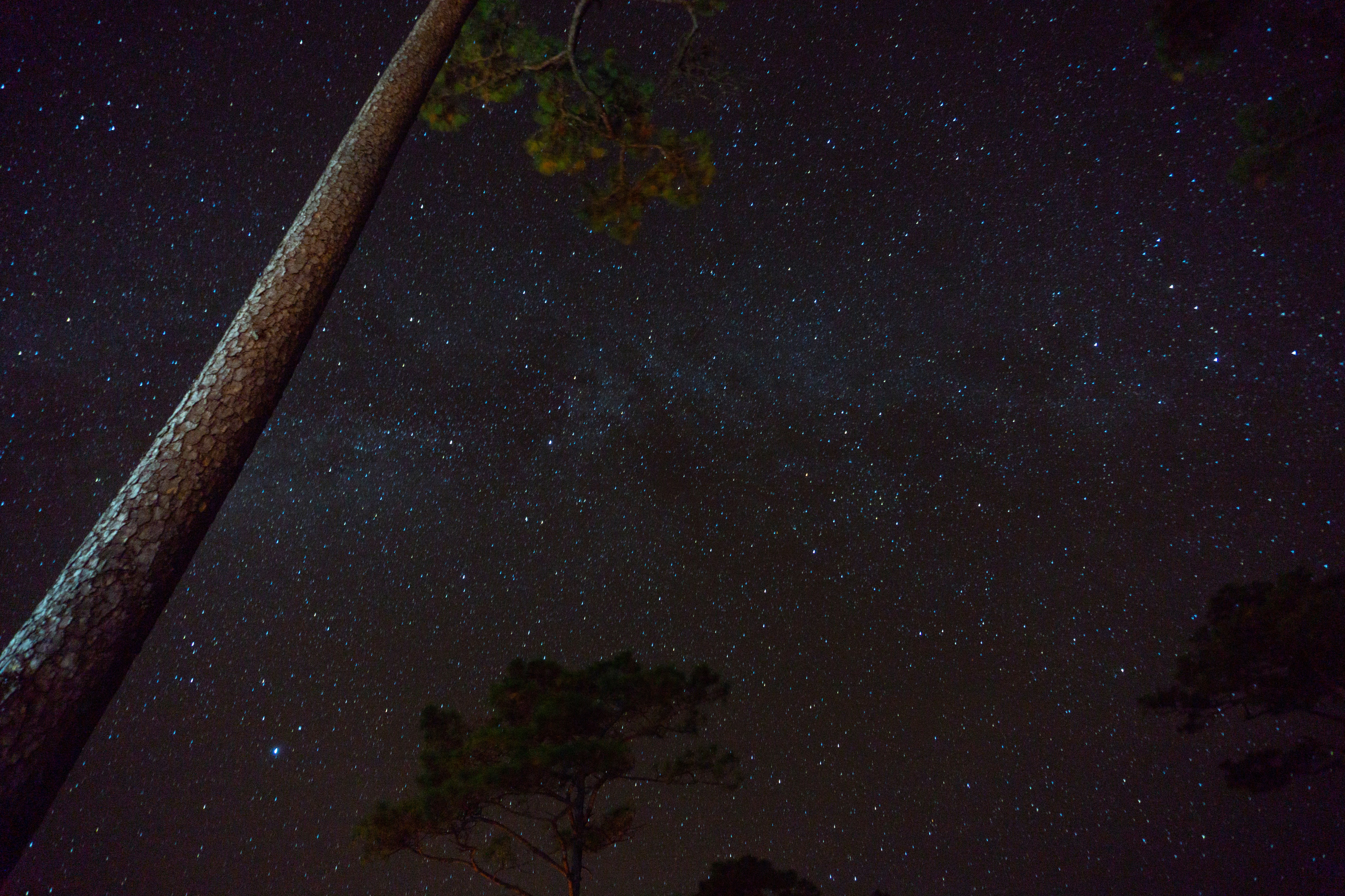 Photo by touchmyimage