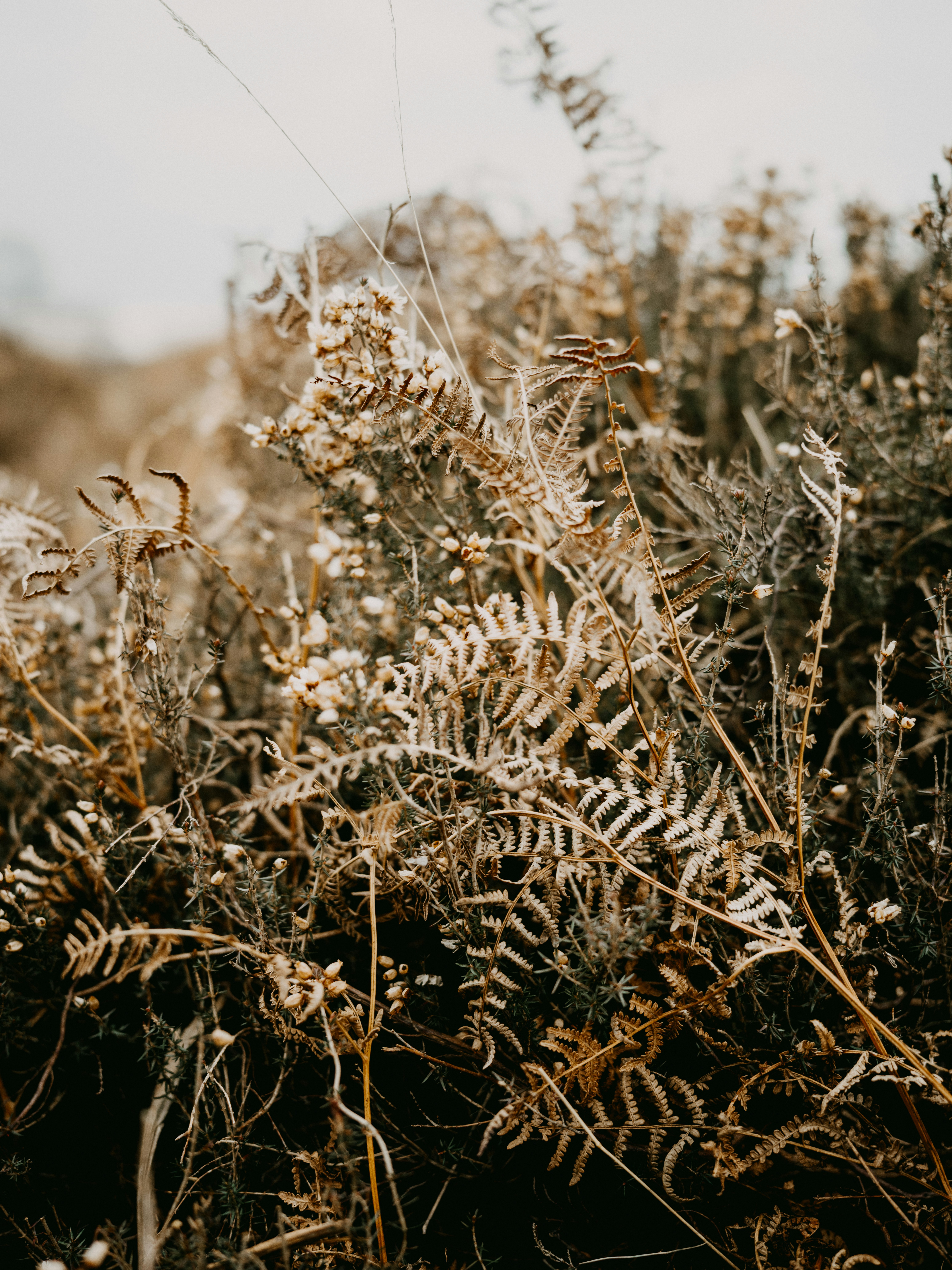 Photo by anniespratt