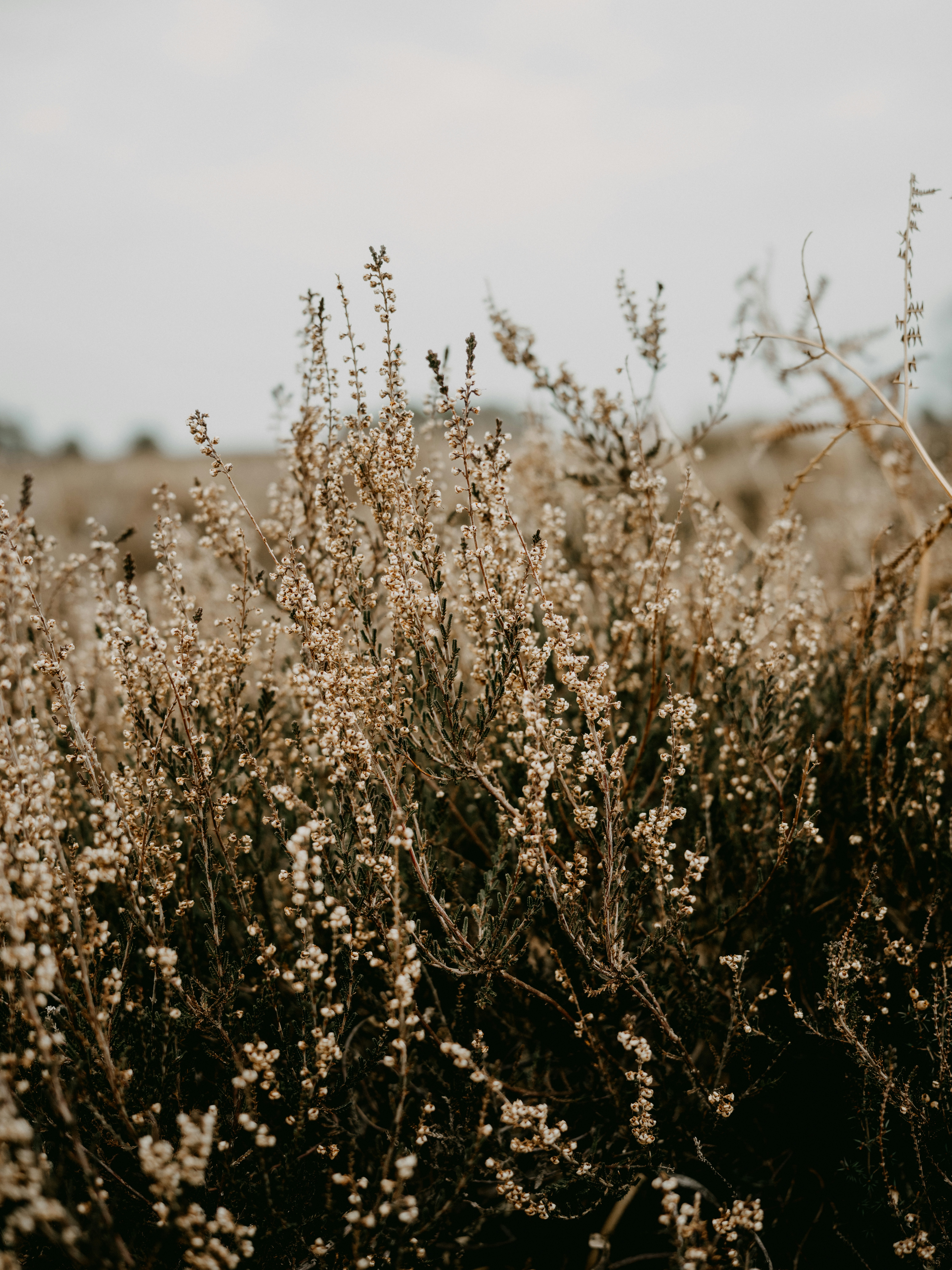 Photo by anniespratt