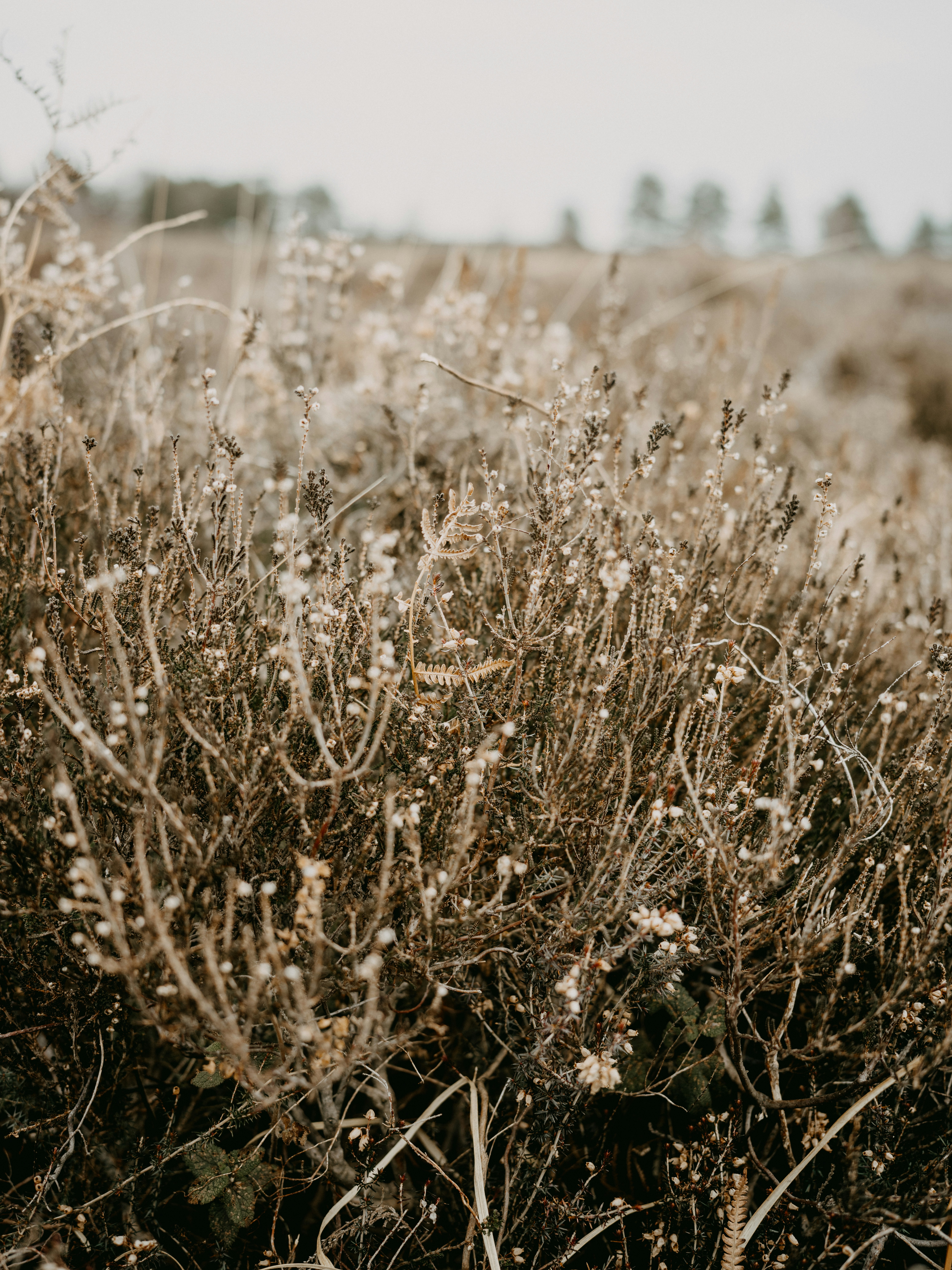 Photo by anniespratt