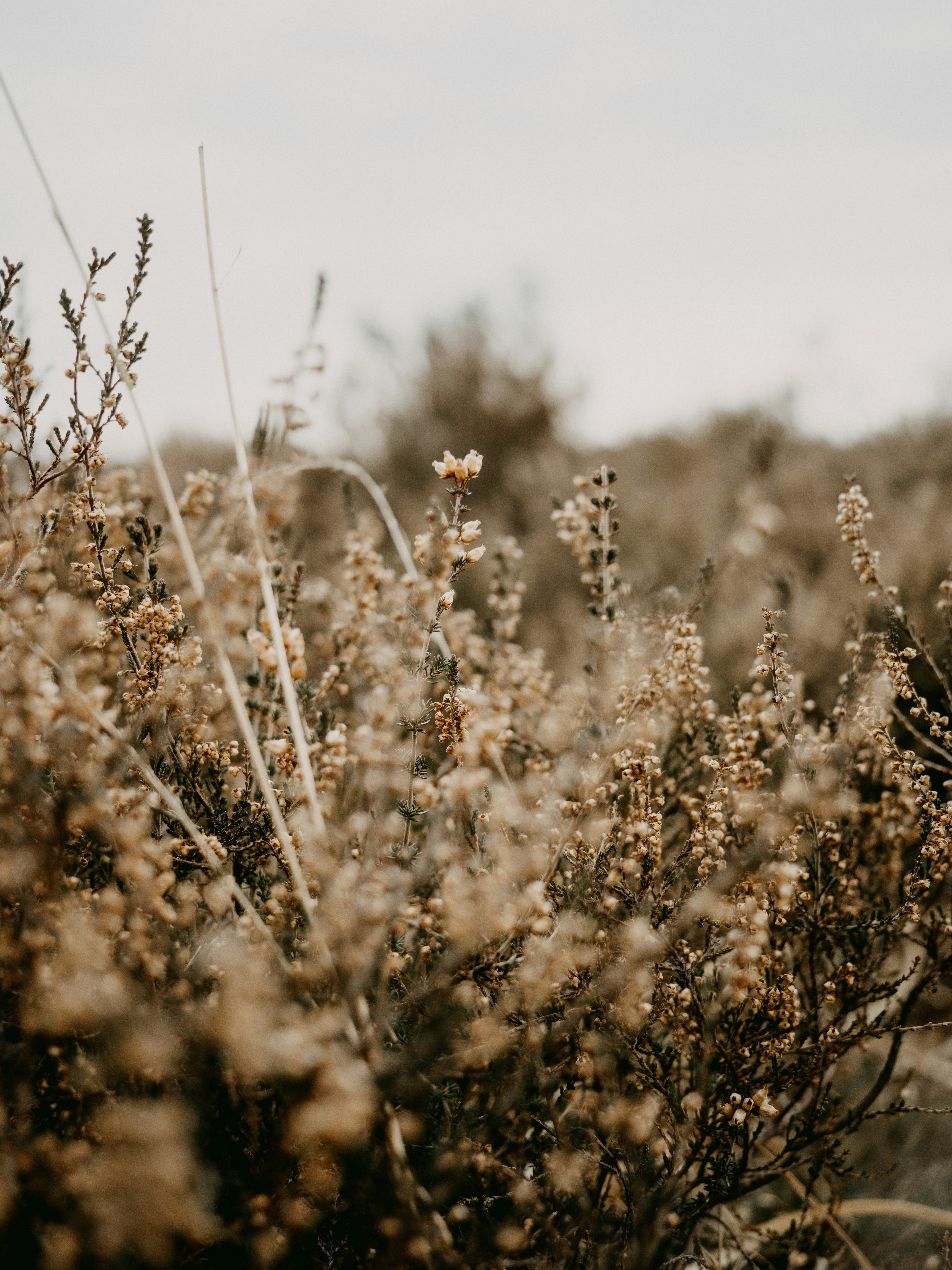 Photo by anniespratt