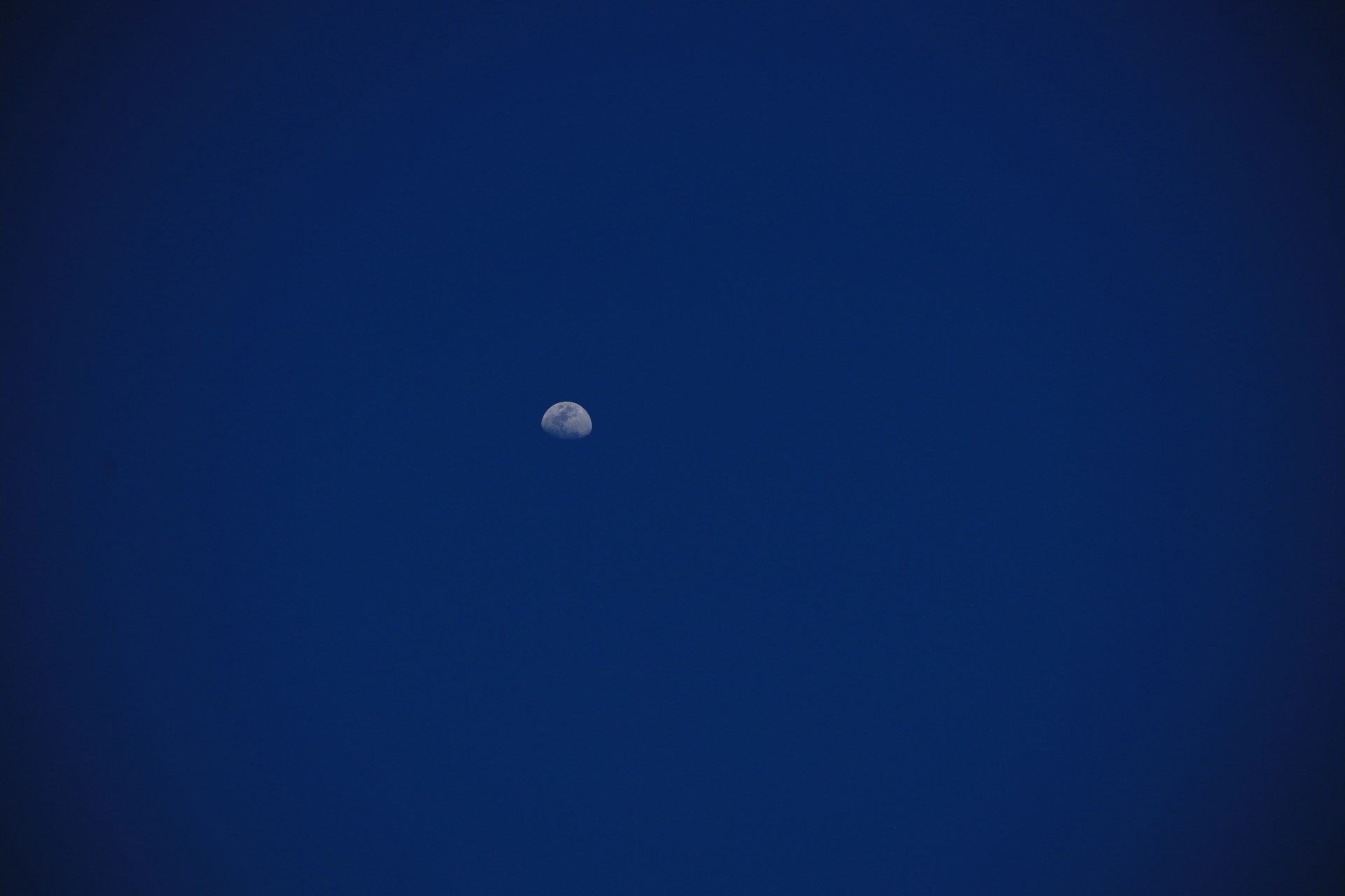 the moon is visible in the dark blue sky