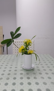 Vases élégants